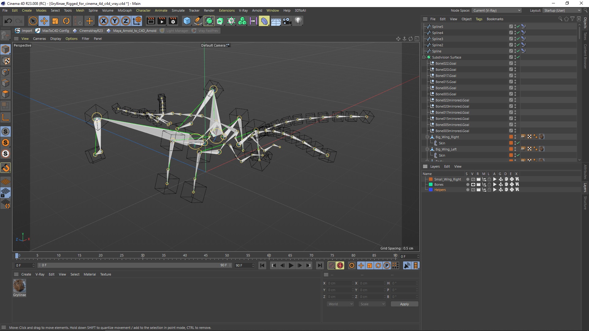 3D model Gryllinae Rigged for Cinema 4D