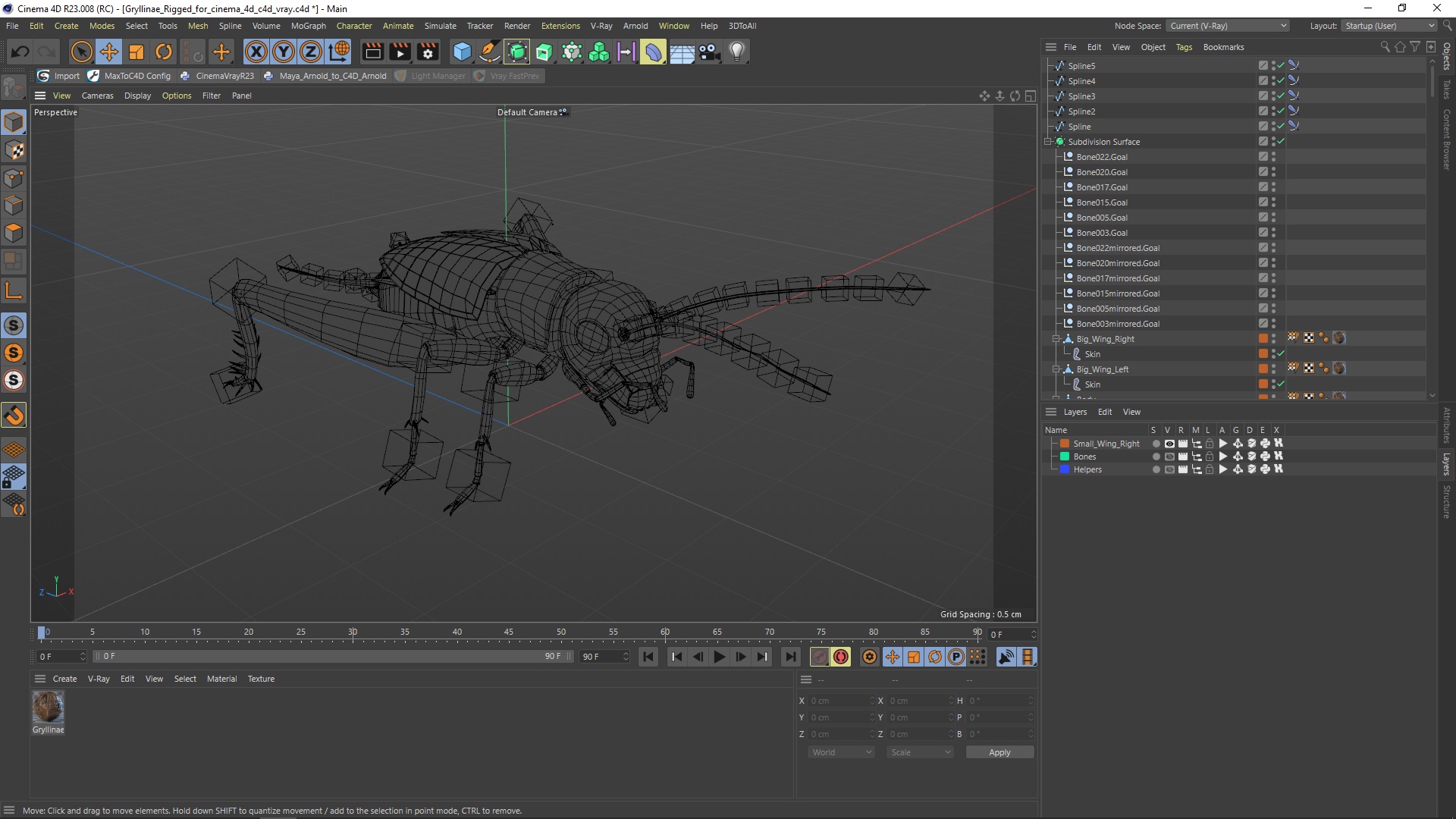 3D model Gryllinae Rigged for Cinema 4D