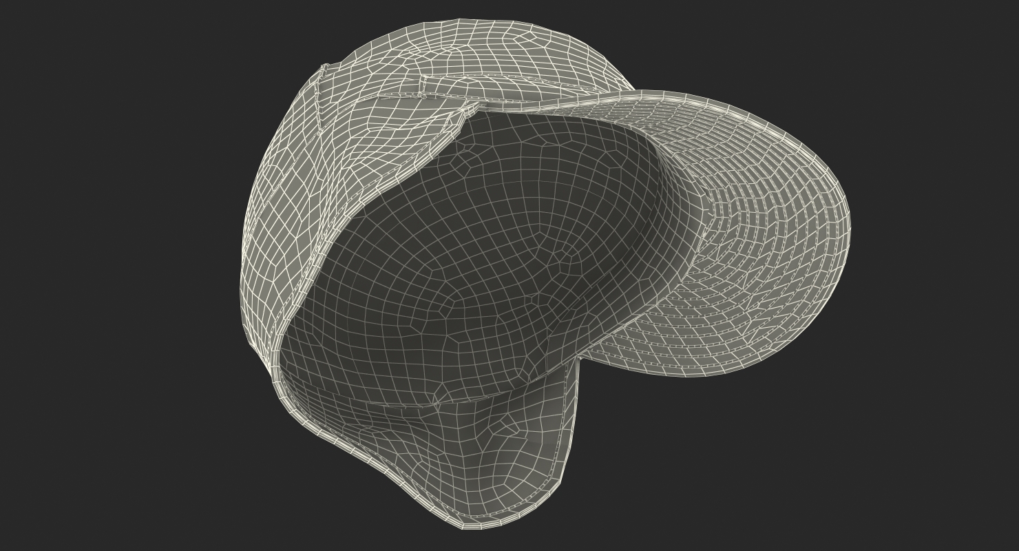 3D Camo Field Cap with Earflaps model