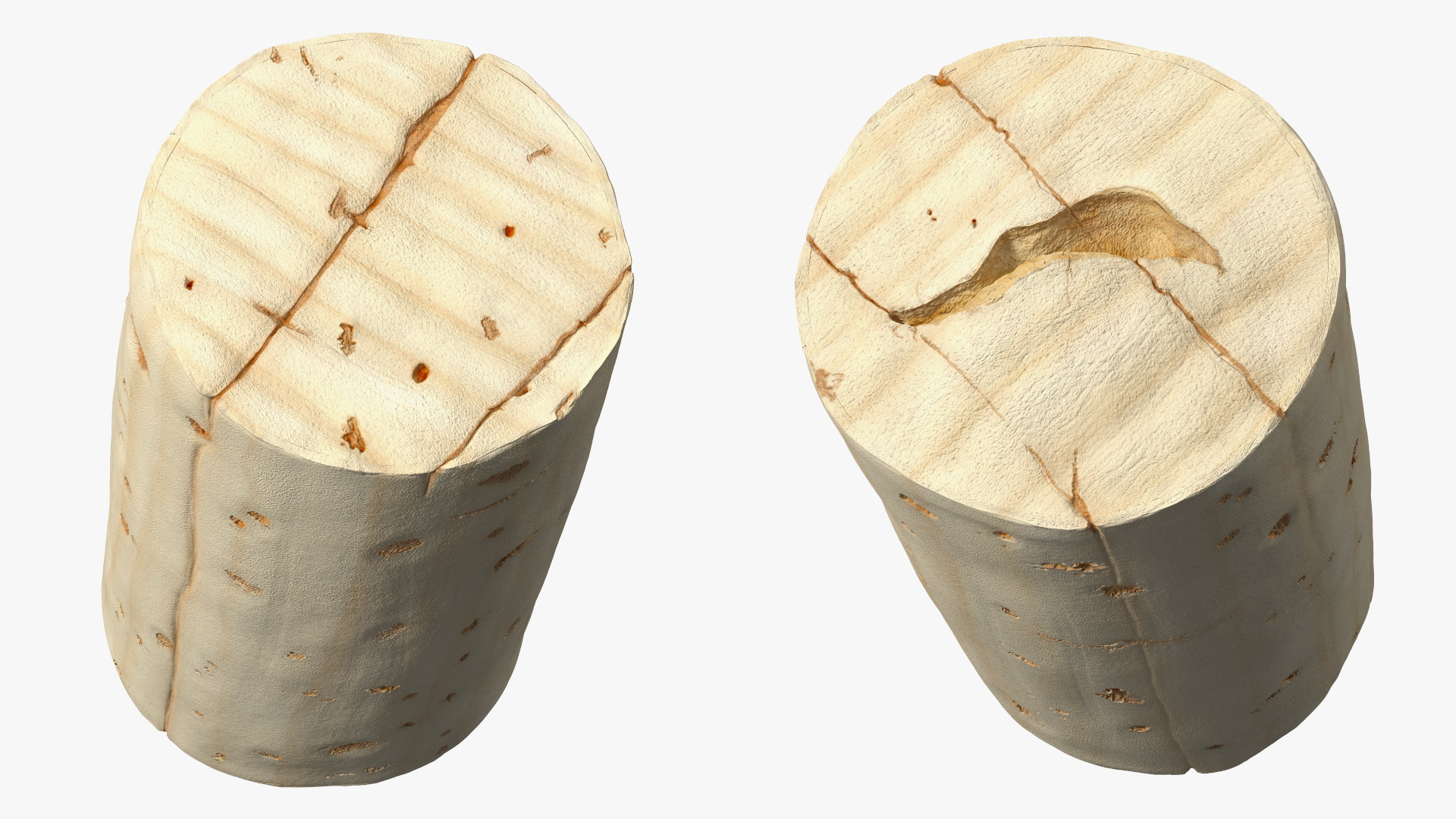 3D Realistic Wine Bottle Cork