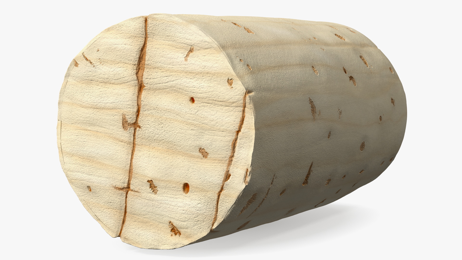 3D Realistic Wine Bottle Cork