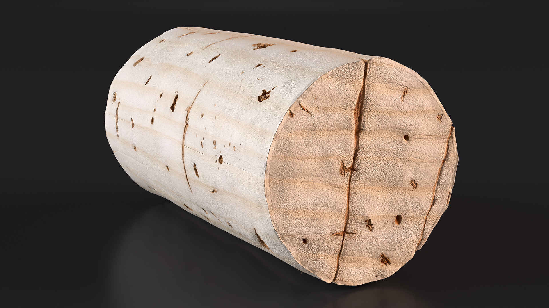 3D Realistic Wine Bottle Cork