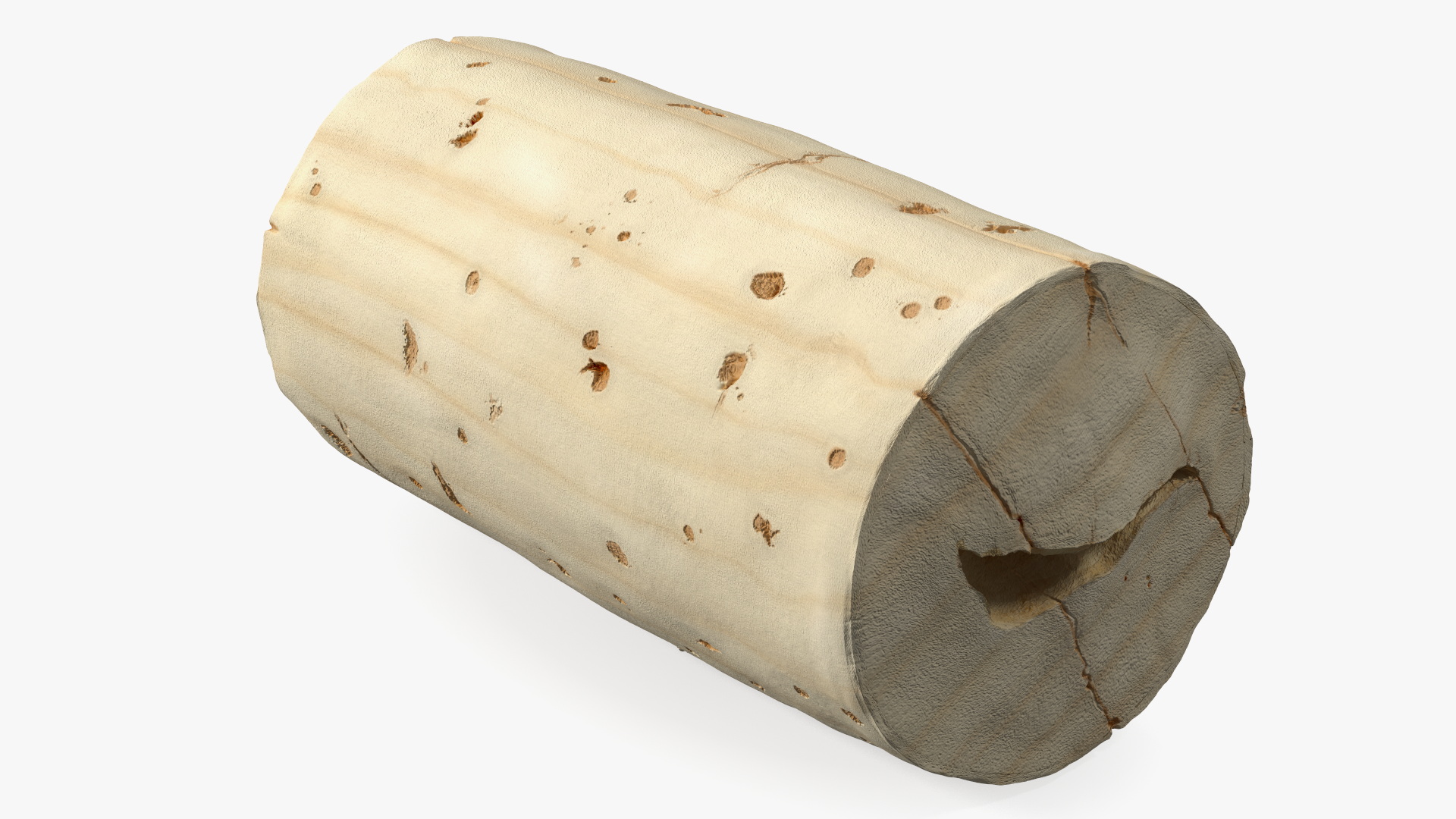 3D Realistic Wine Bottle Cork