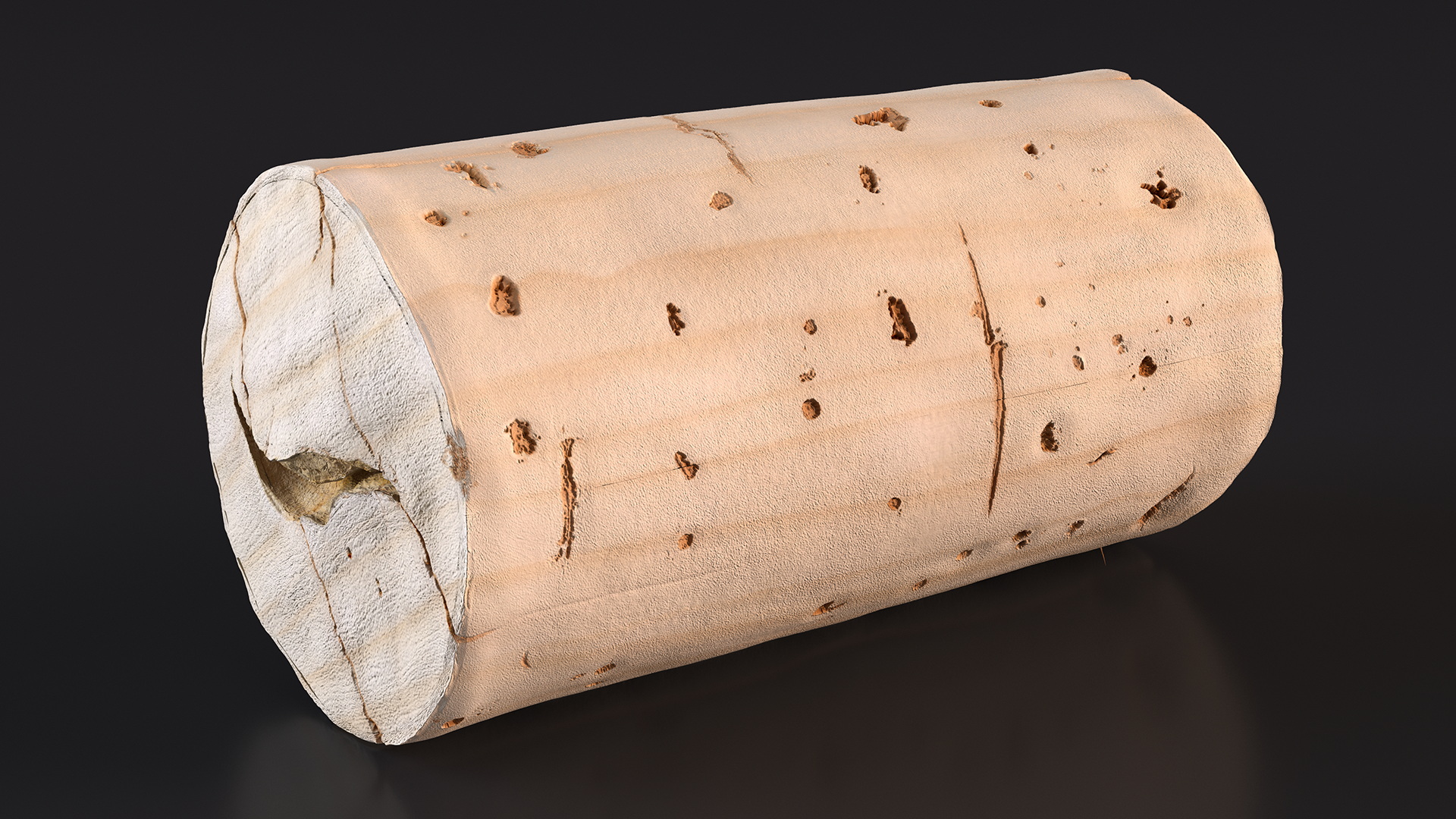 3D Realistic Wine Bottle Cork