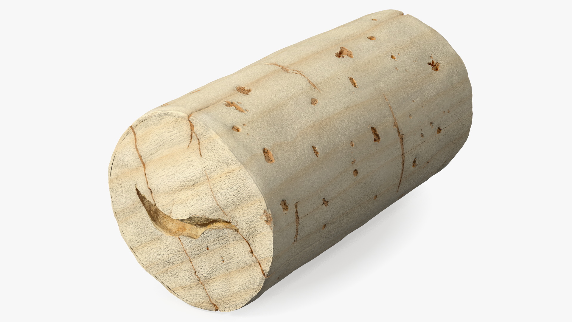3D Realistic Wine Bottle Cork