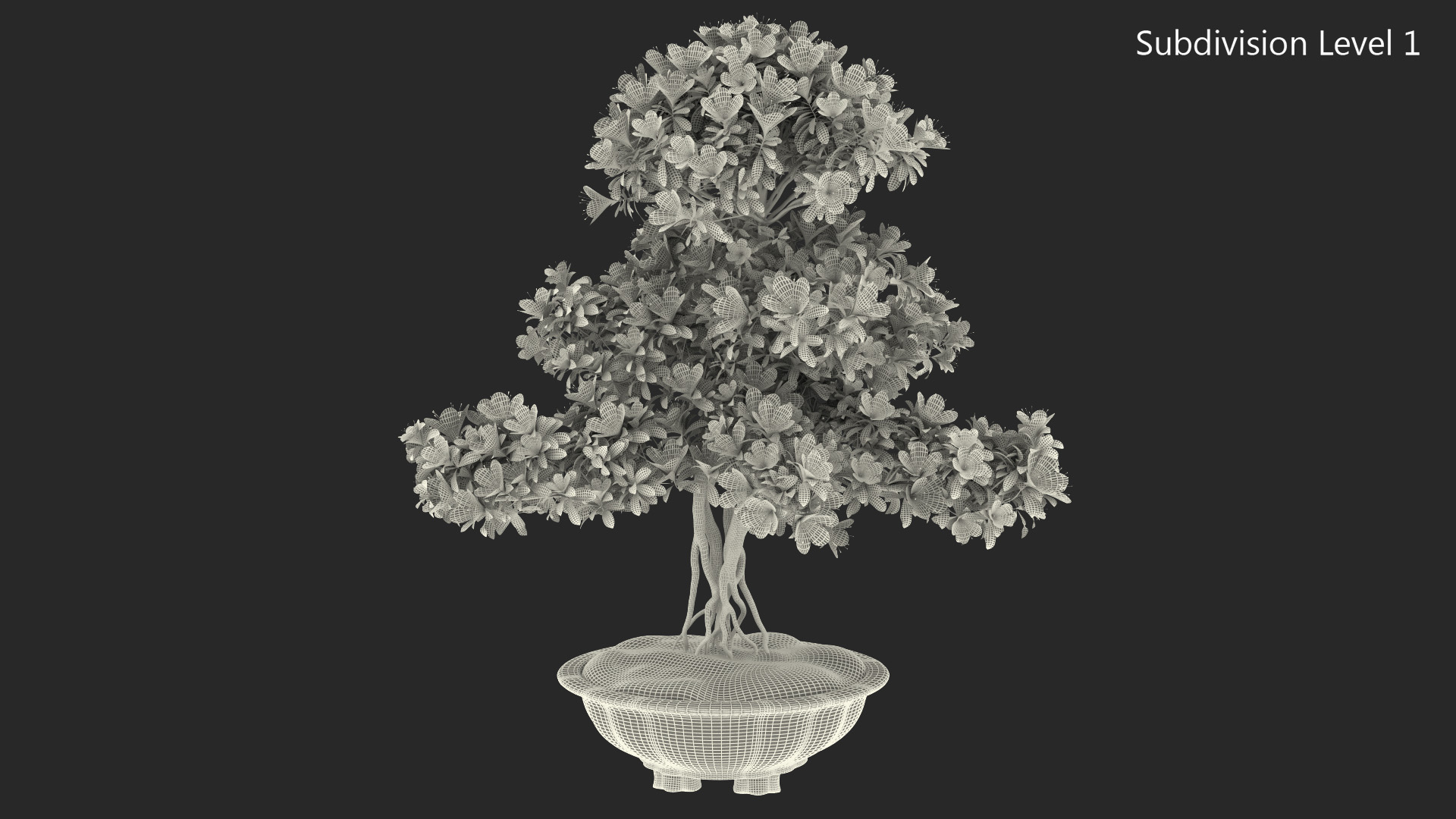 Small Bonsai Tree with Flowers in Pot 3D