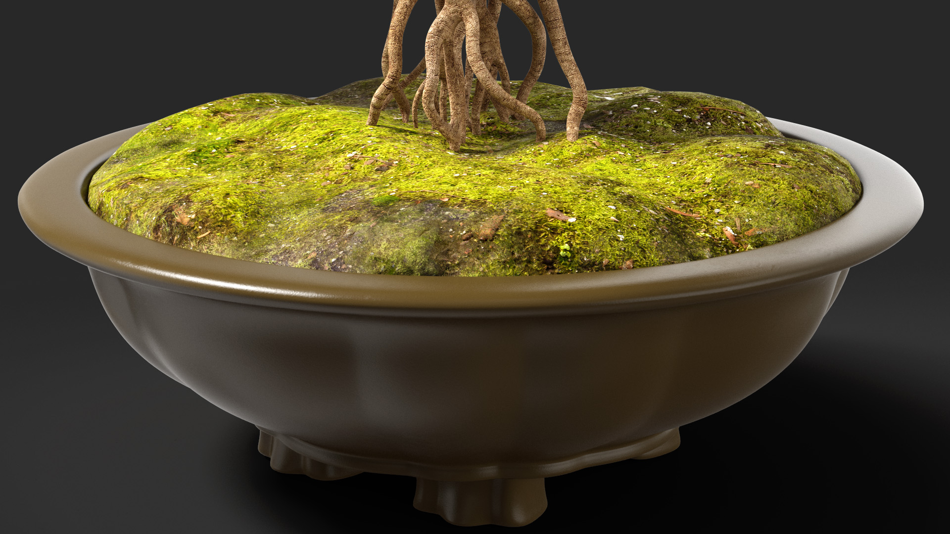 Small Bonsai Tree with Flowers in Pot 3D