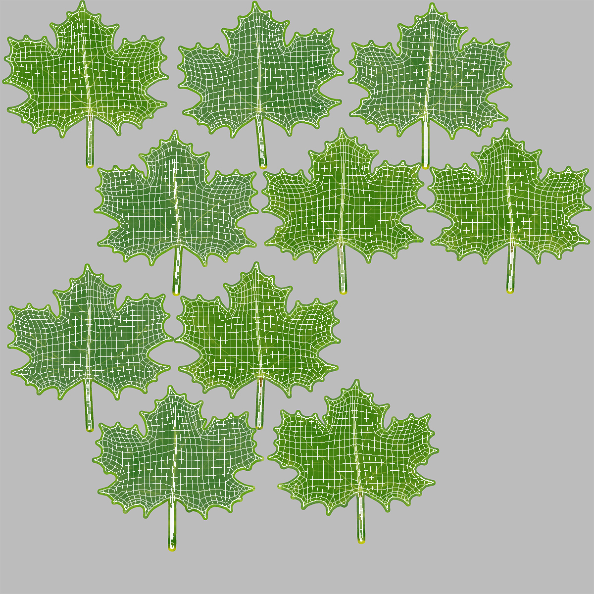 3D Green Maple Leaves model