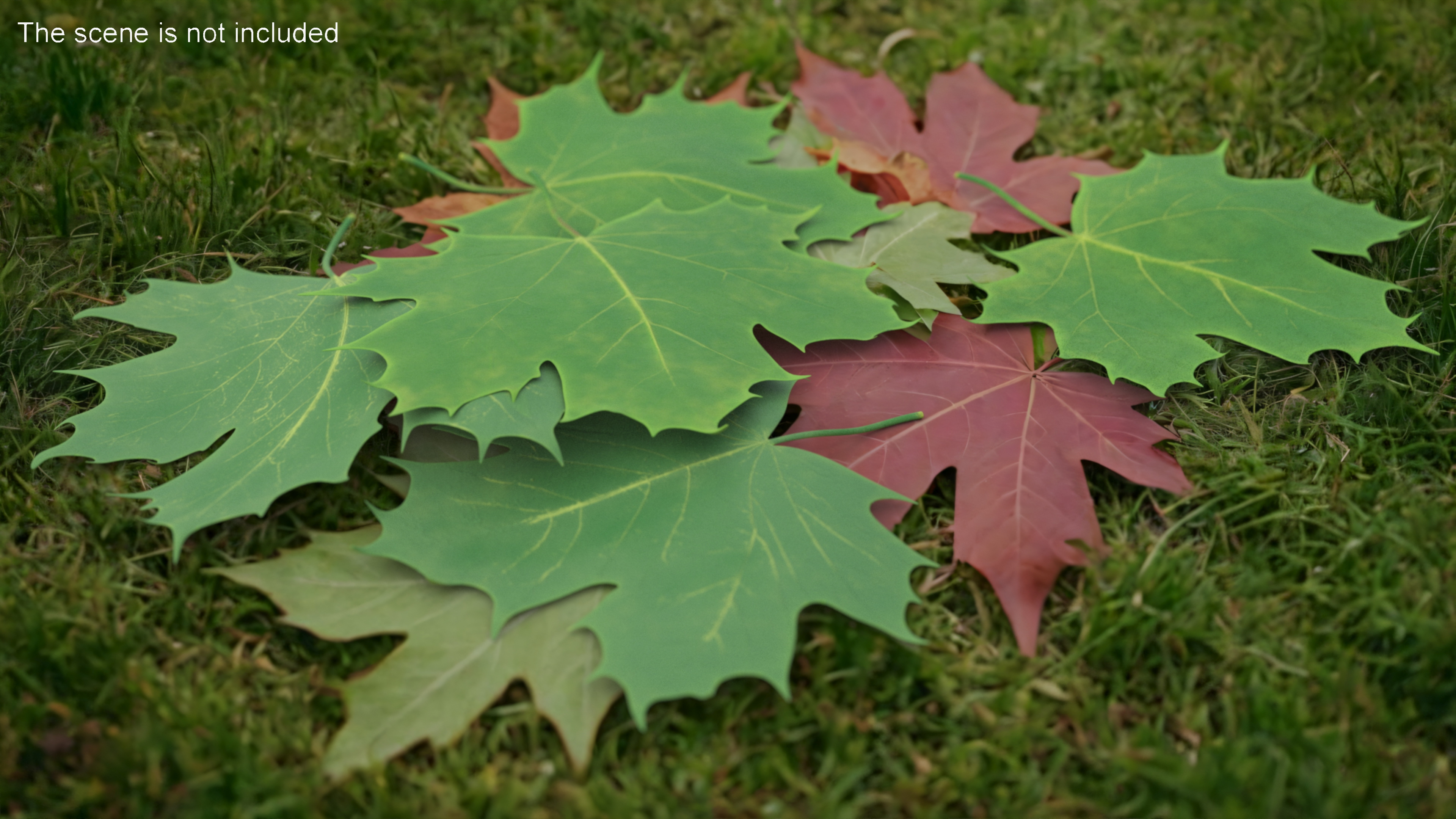 3D Green Maple Leaves model