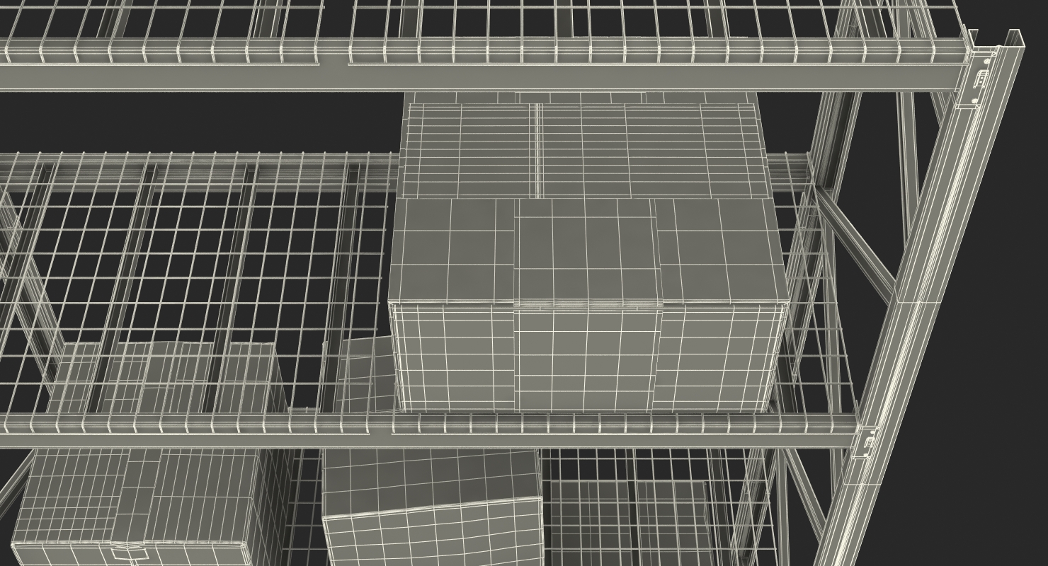 Pallet Rack with Boxes 3D