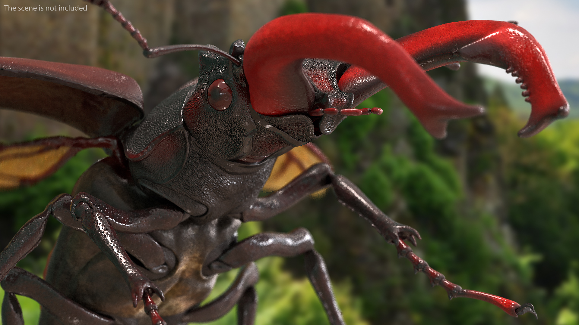 3D Lucanus Cervus Stag Beetle Flying model