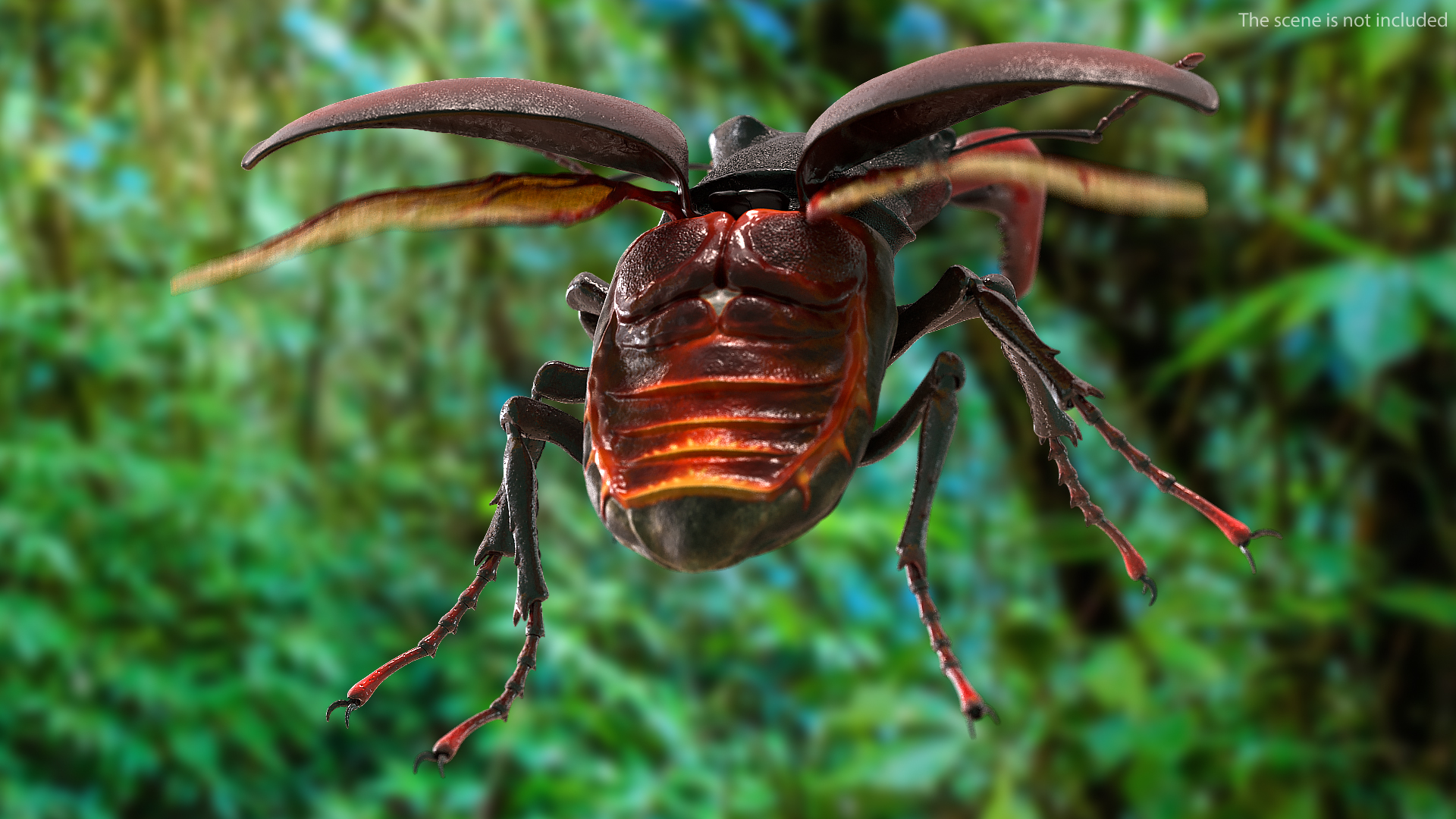 3D Lucanus Cervus Stag Beetle Flying model