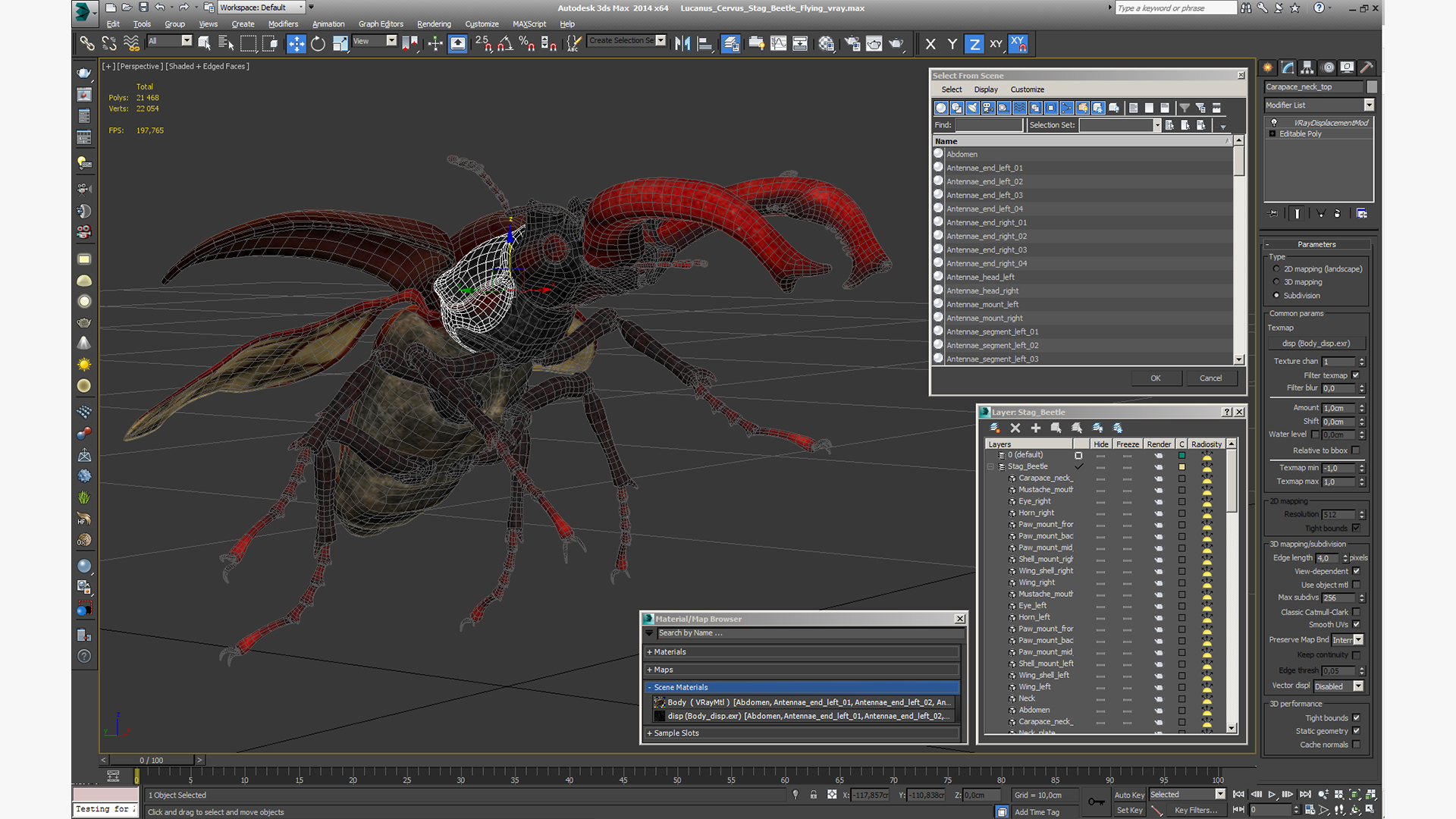 3D Lucanus Cervus Stag Beetle Flying model