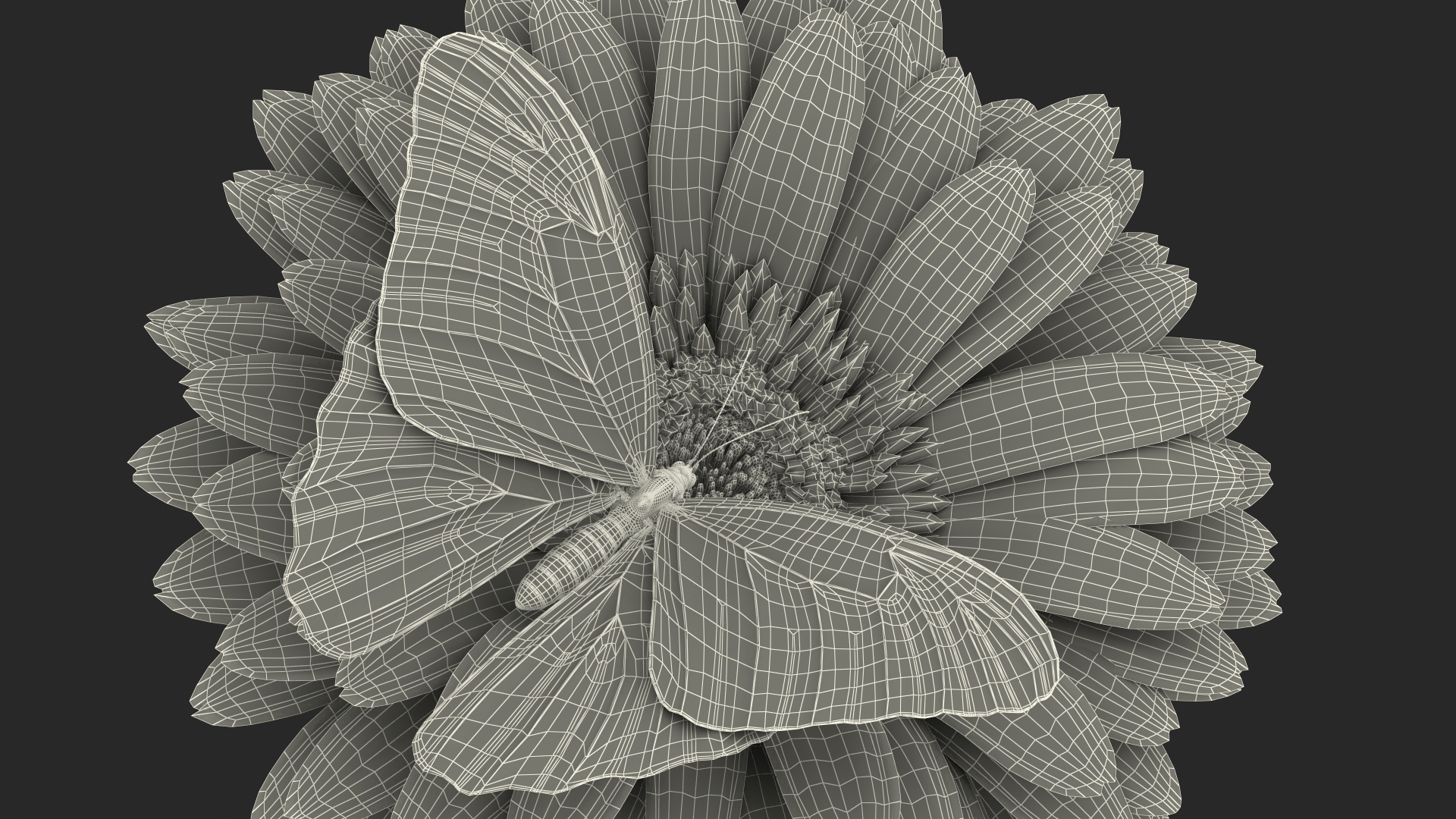 Yellow Gerbera Flower with Emperor Butterfly 3D model