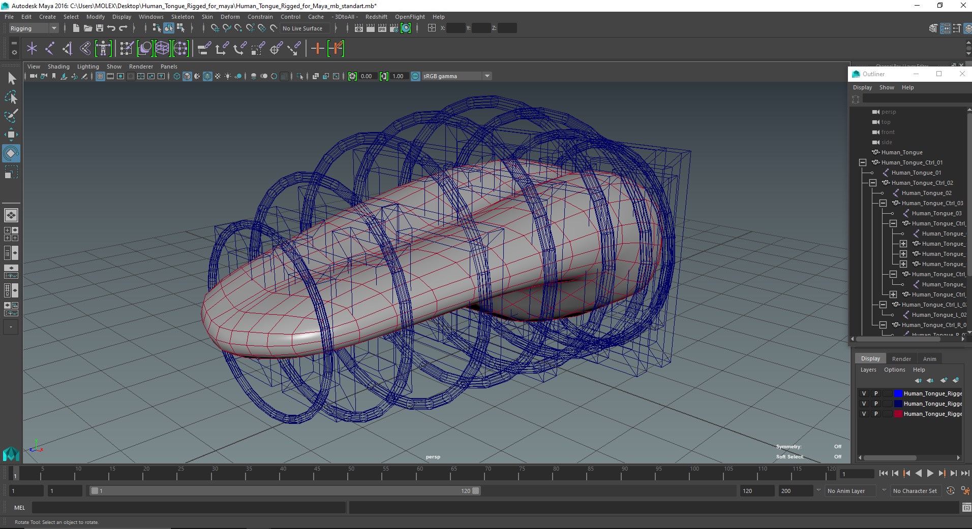 3D Human Tongue Rigged for Maya model