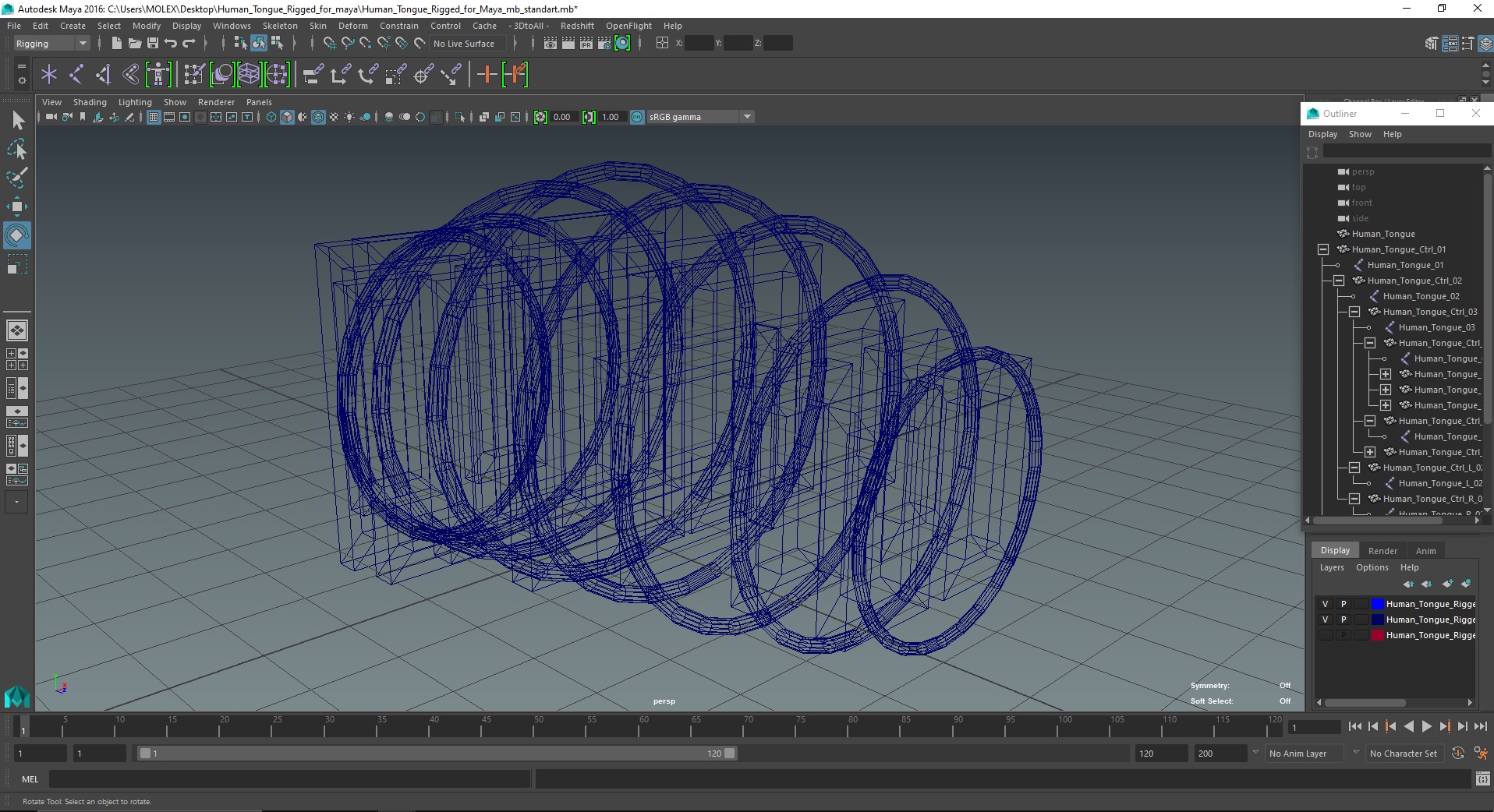 3D Human Tongue Rigged for Maya model