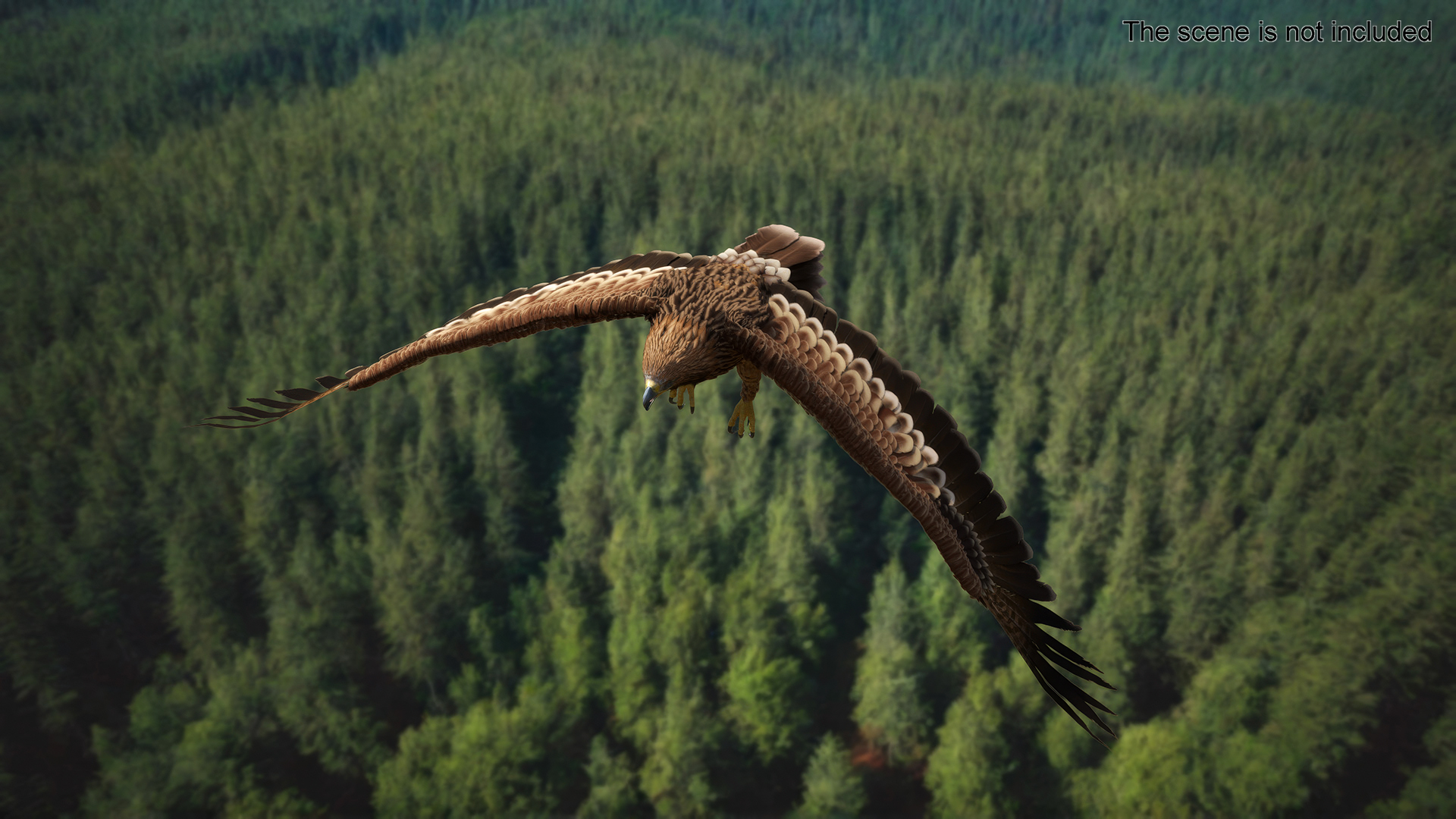 3D Realistic Imperial Eagle Flying