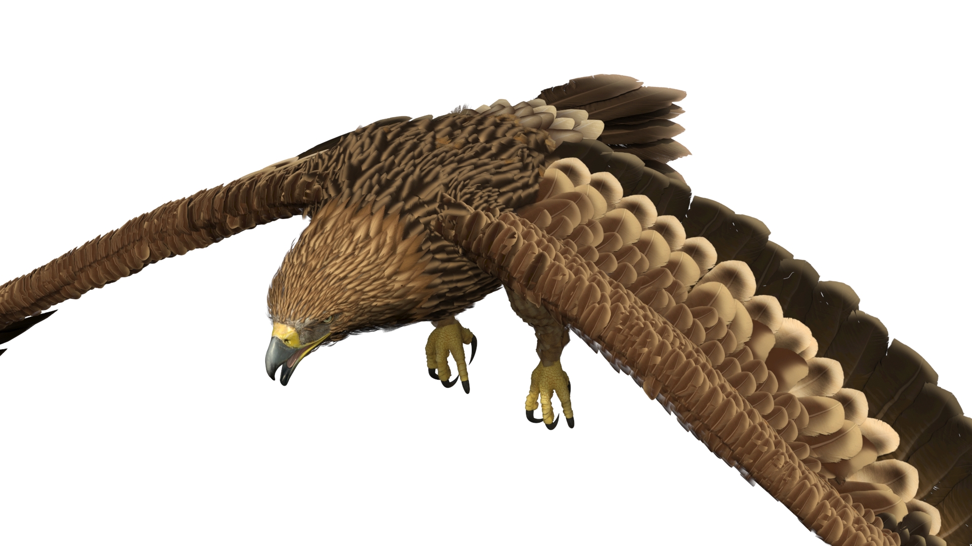 3D Realistic Imperial Eagle Flying