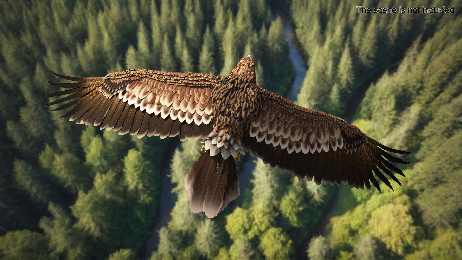 3D Realistic Imperial Eagle Flying