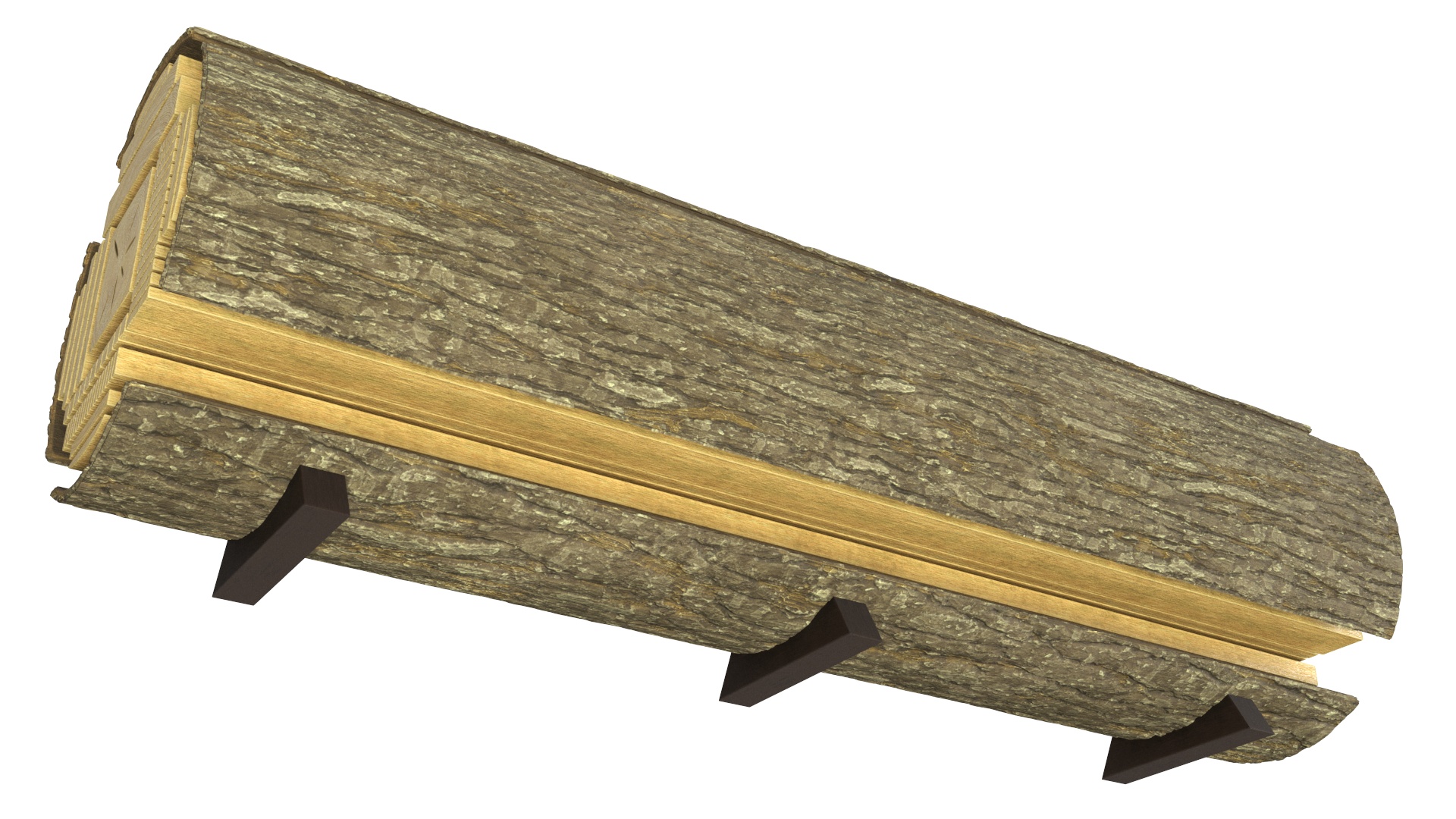 Log Cross Section 3D