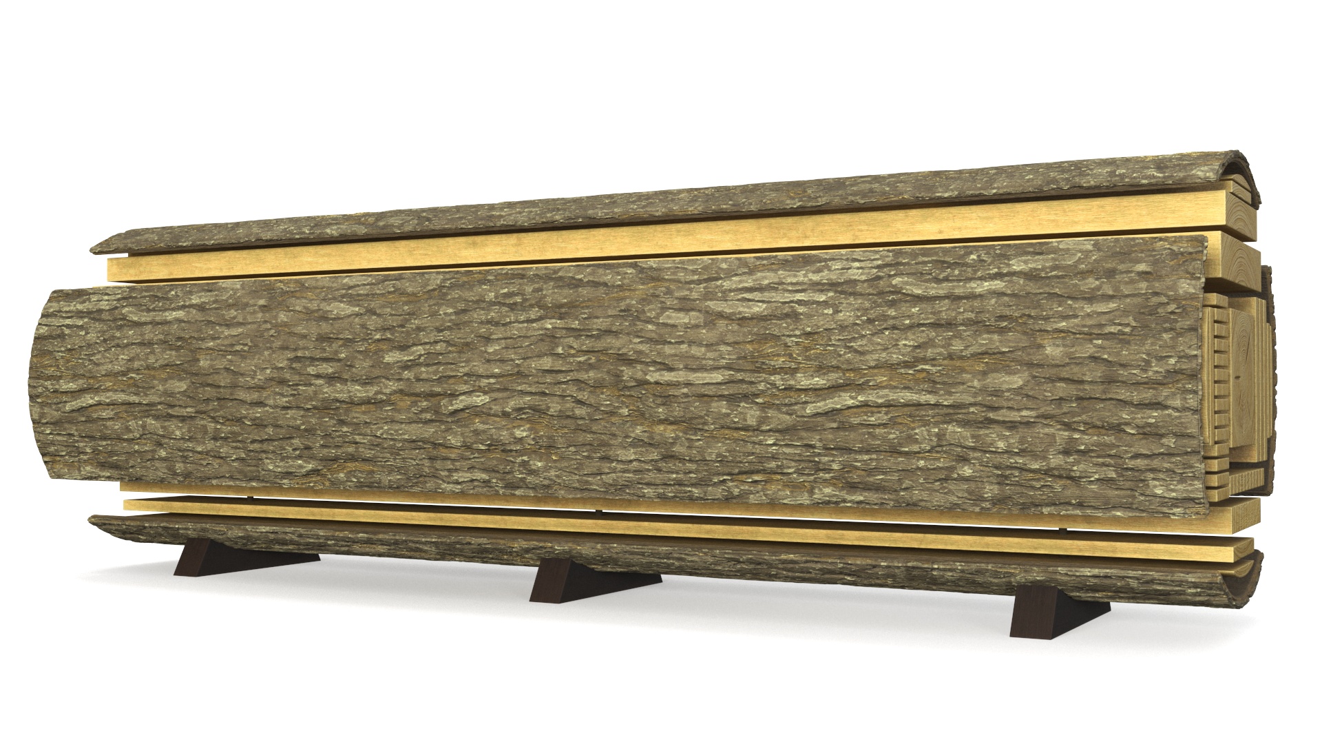 Log Cross Section 3D