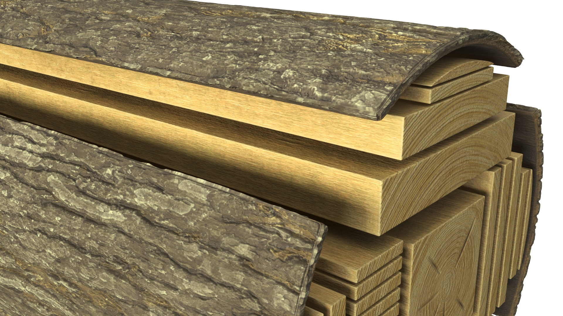 Log Cross Section 3D
