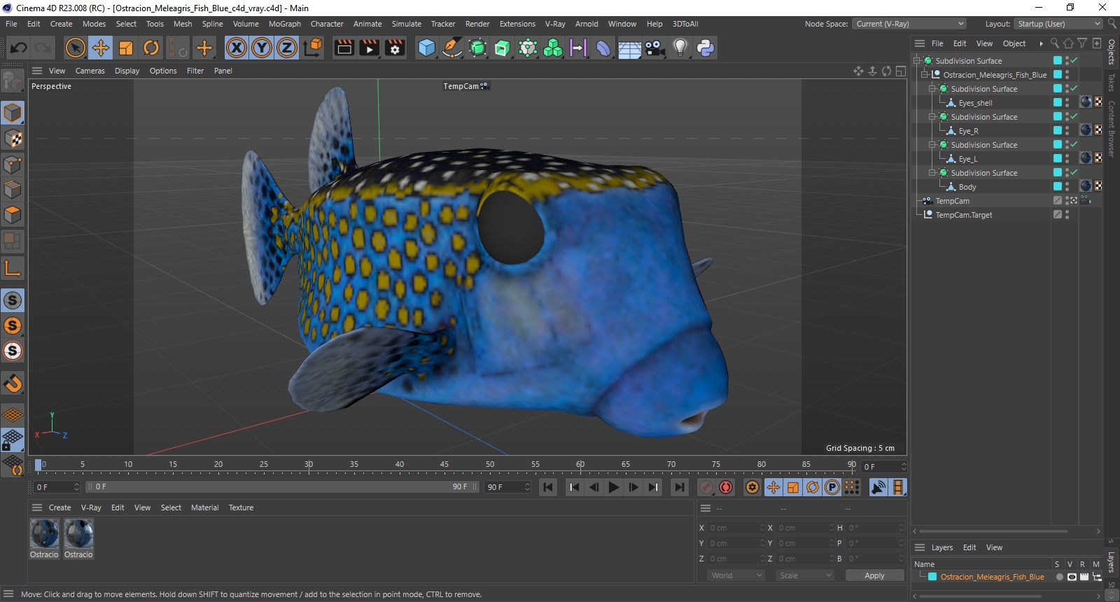 Ostracion Meleagris Fish Blue 3D model