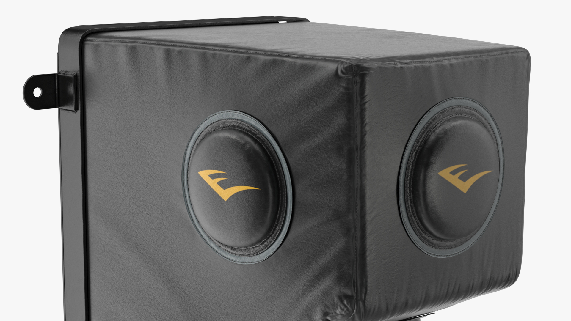 3D model Everlast Wall Mounted Bag