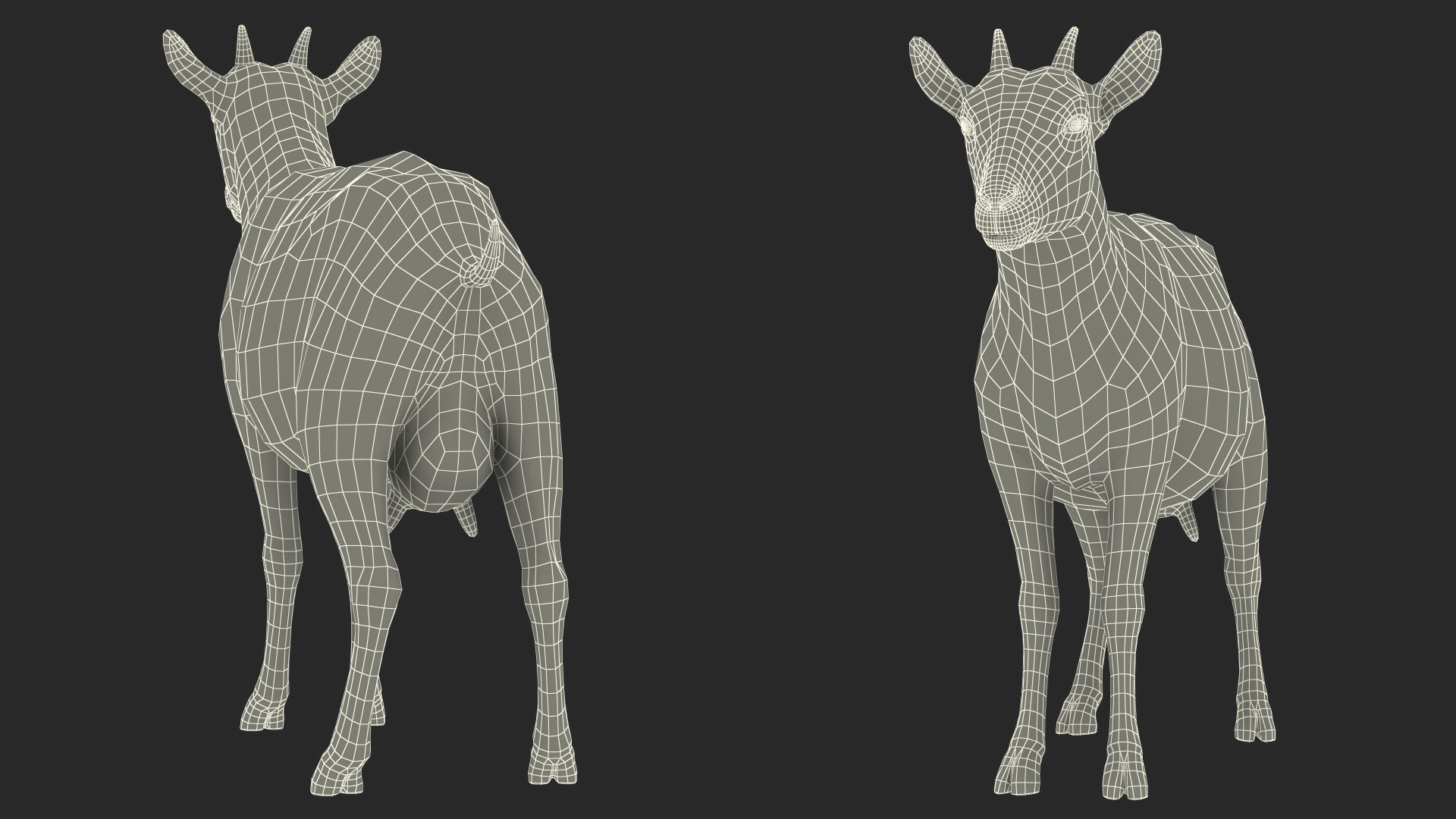 3D Dairy Goat Brown