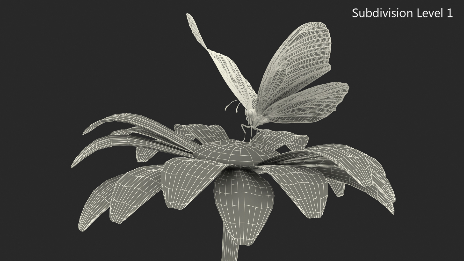 3D Animated Monarch Butterfly Takes Off from Swinging Flower with Fur Rigged model