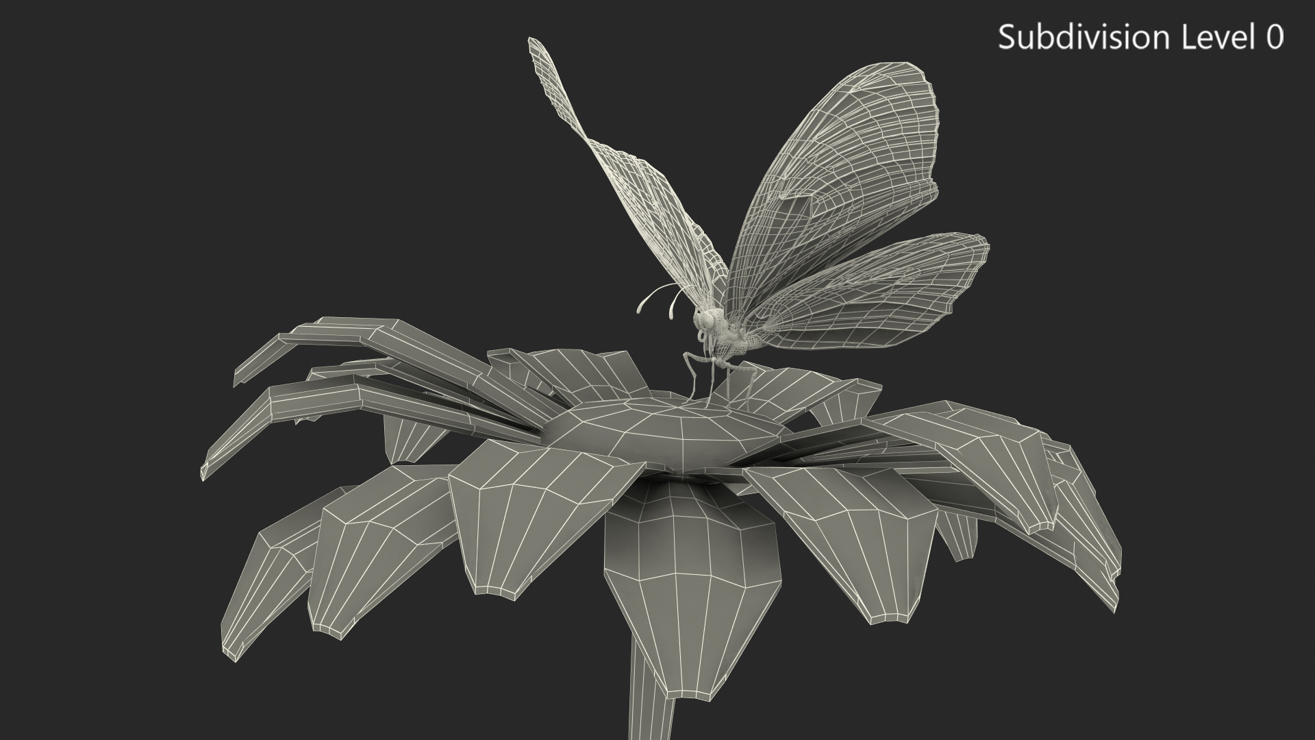 3D Animated Monarch Butterfly Takes Off from Swinging Flower with Fur Rigged model
