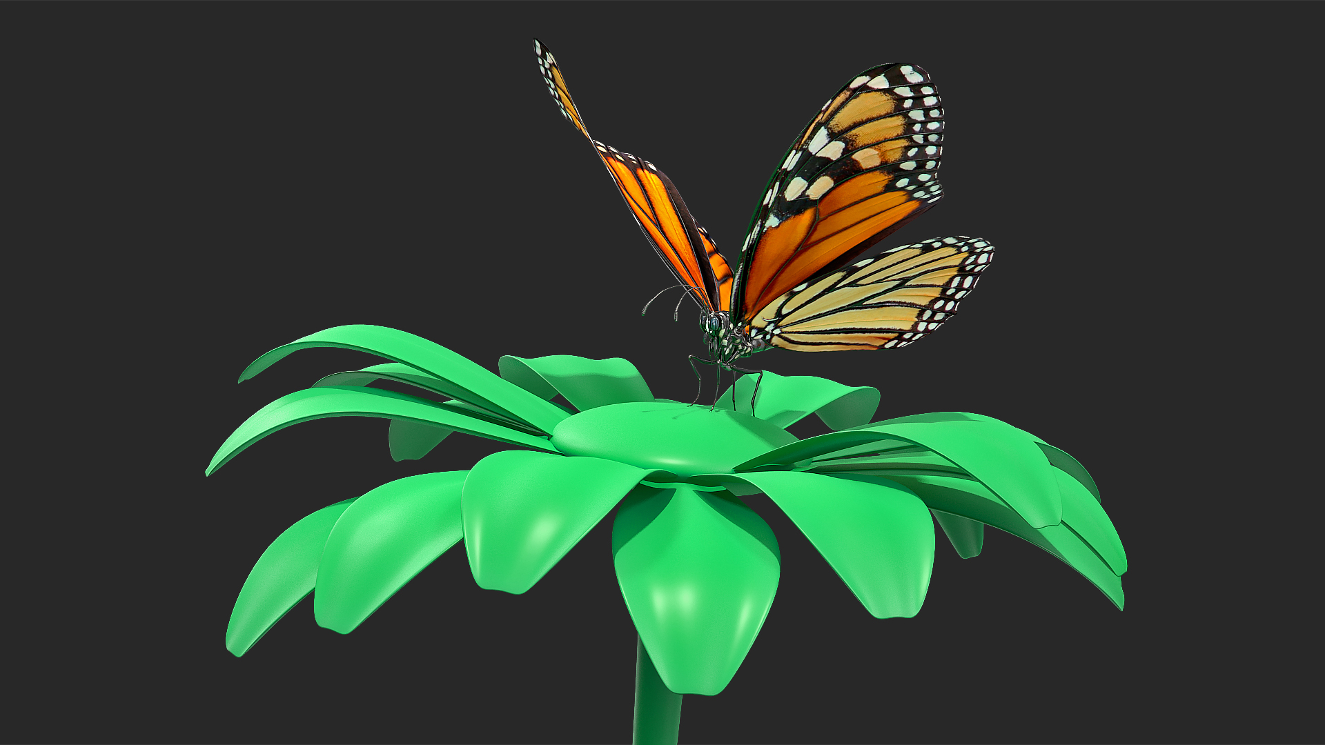3D Animated Monarch Butterfly Takes Off from Swinging Flower with Fur Rigged model