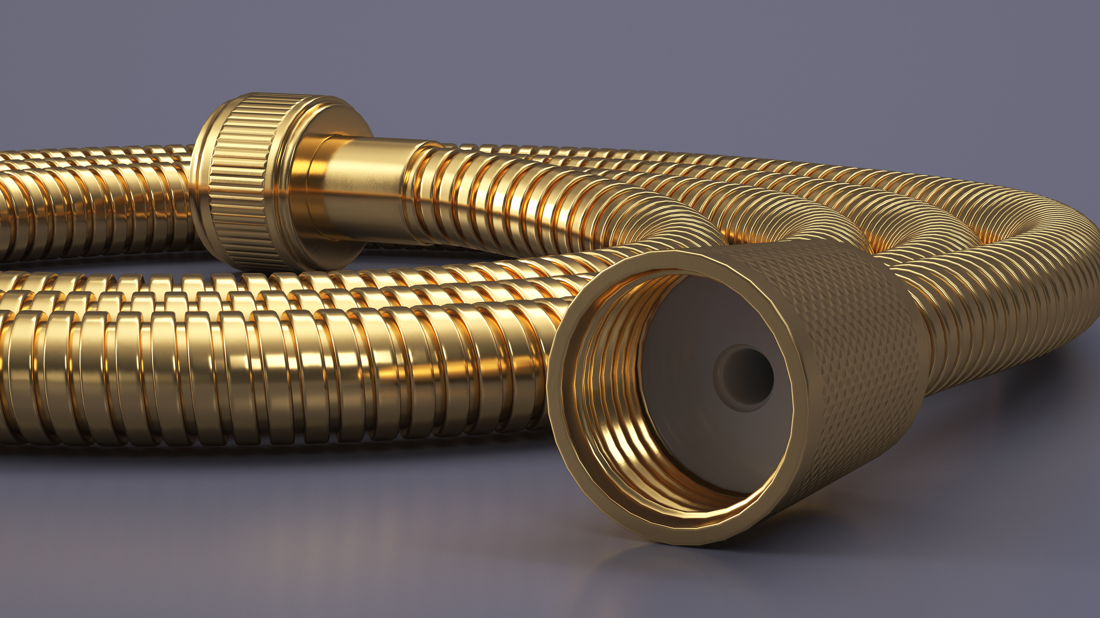 Flexible Shower Hose Golden 3D