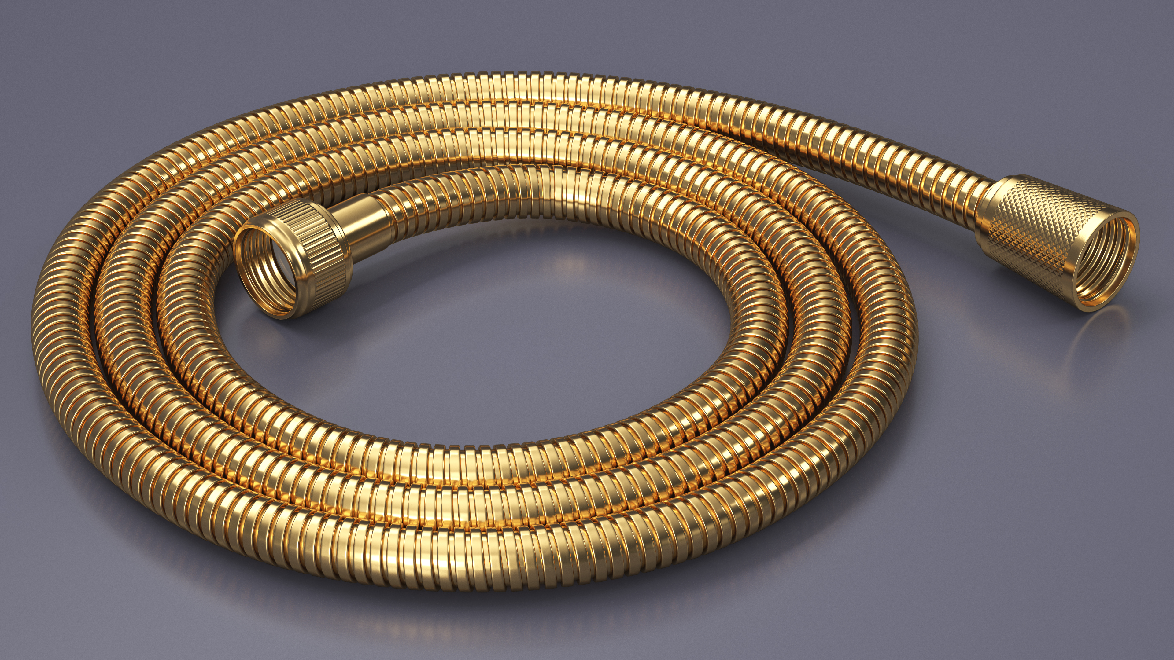 Flexible Shower Hose Golden 3D