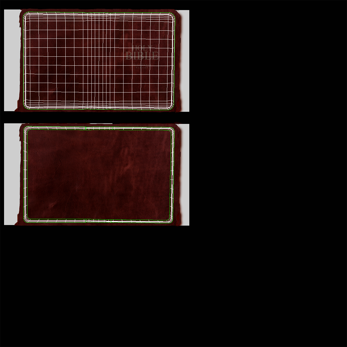 Holy Bible Closed Book 3D