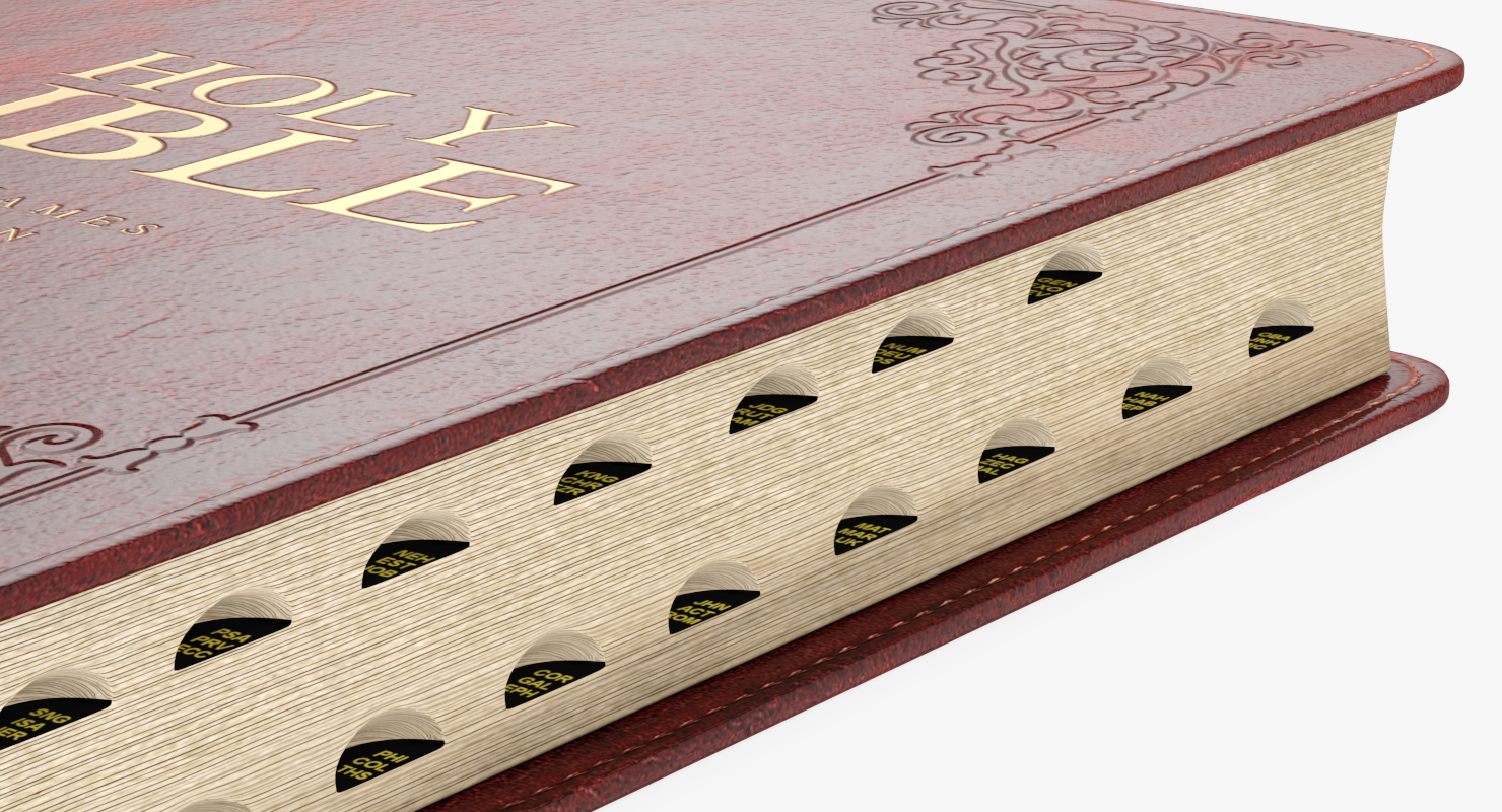 Holy Bible Closed Book 3D