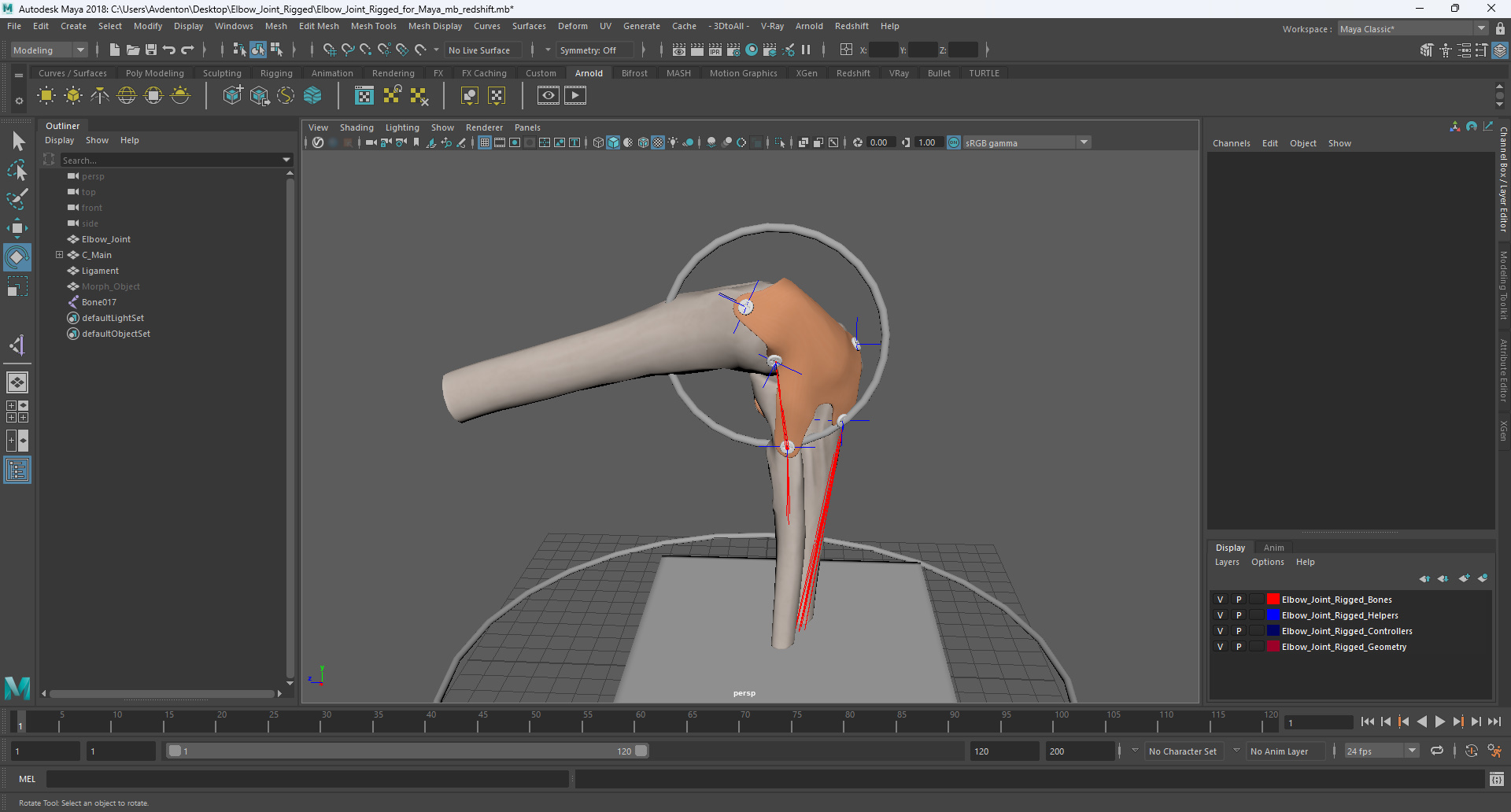 Elbow Joint Rigged for Maya 3D