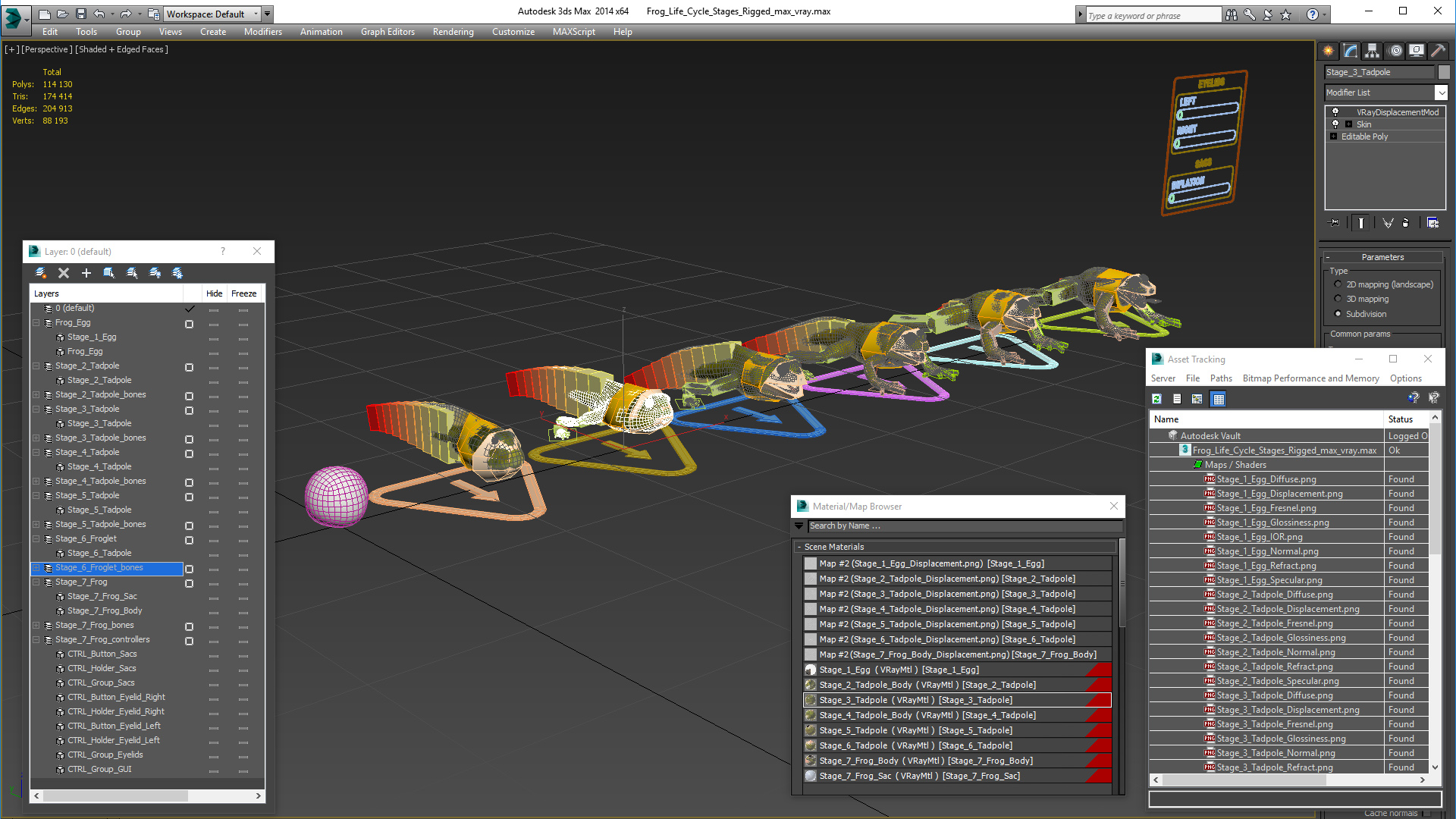 Frog Life Cycle Stages Rigged 3D model