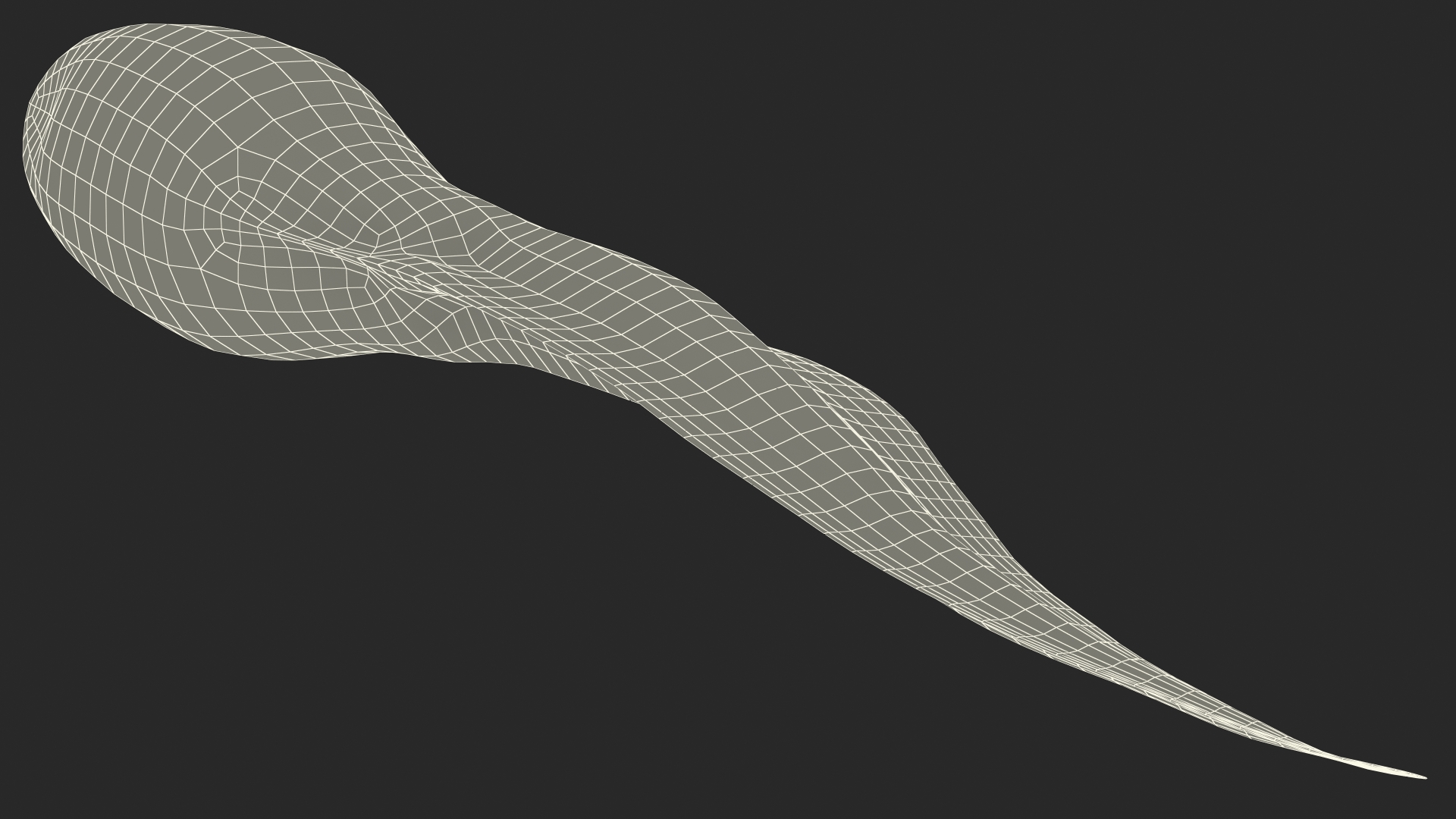 Frog Life Cycle Stages Rigged 3D model