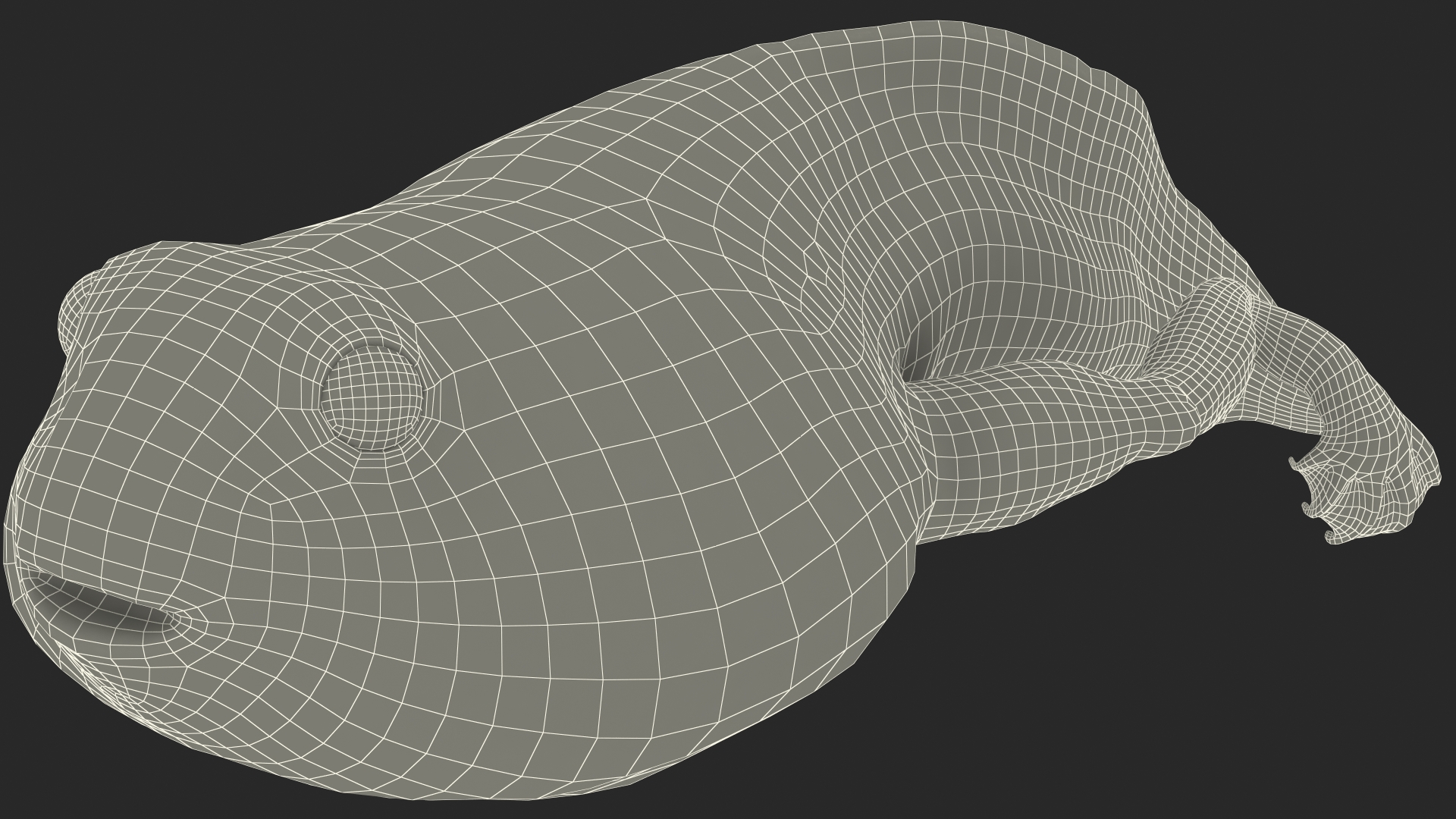 Frog Life Cycle Stages Rigged 3D model
