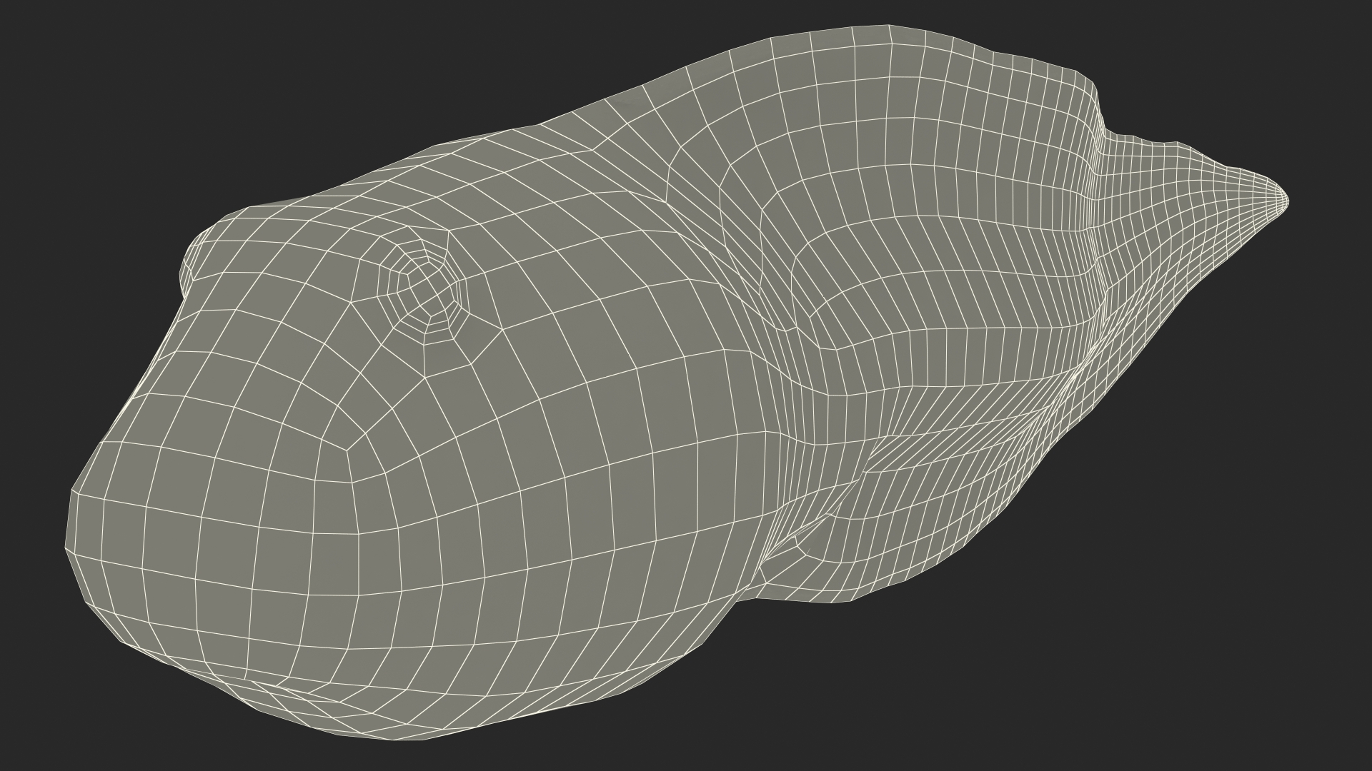 Frog Life Cycle Stages Rigged 3D model