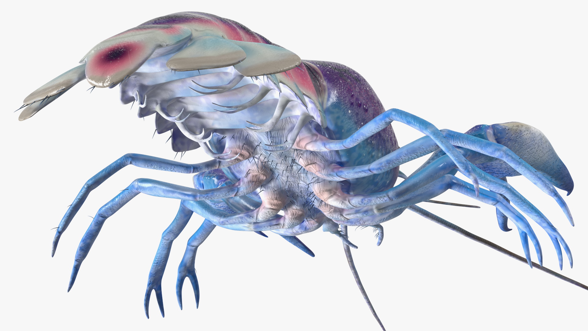 3D model Blue Crayfish Rigged