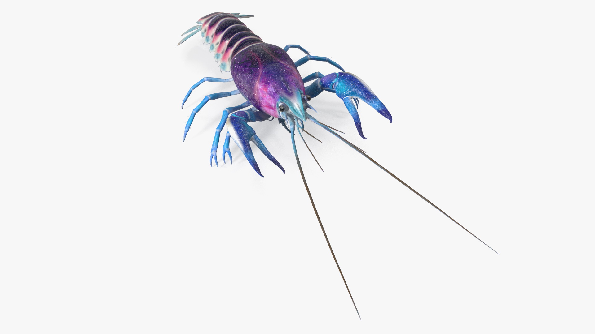 3D model Blue Crayfish Rigged