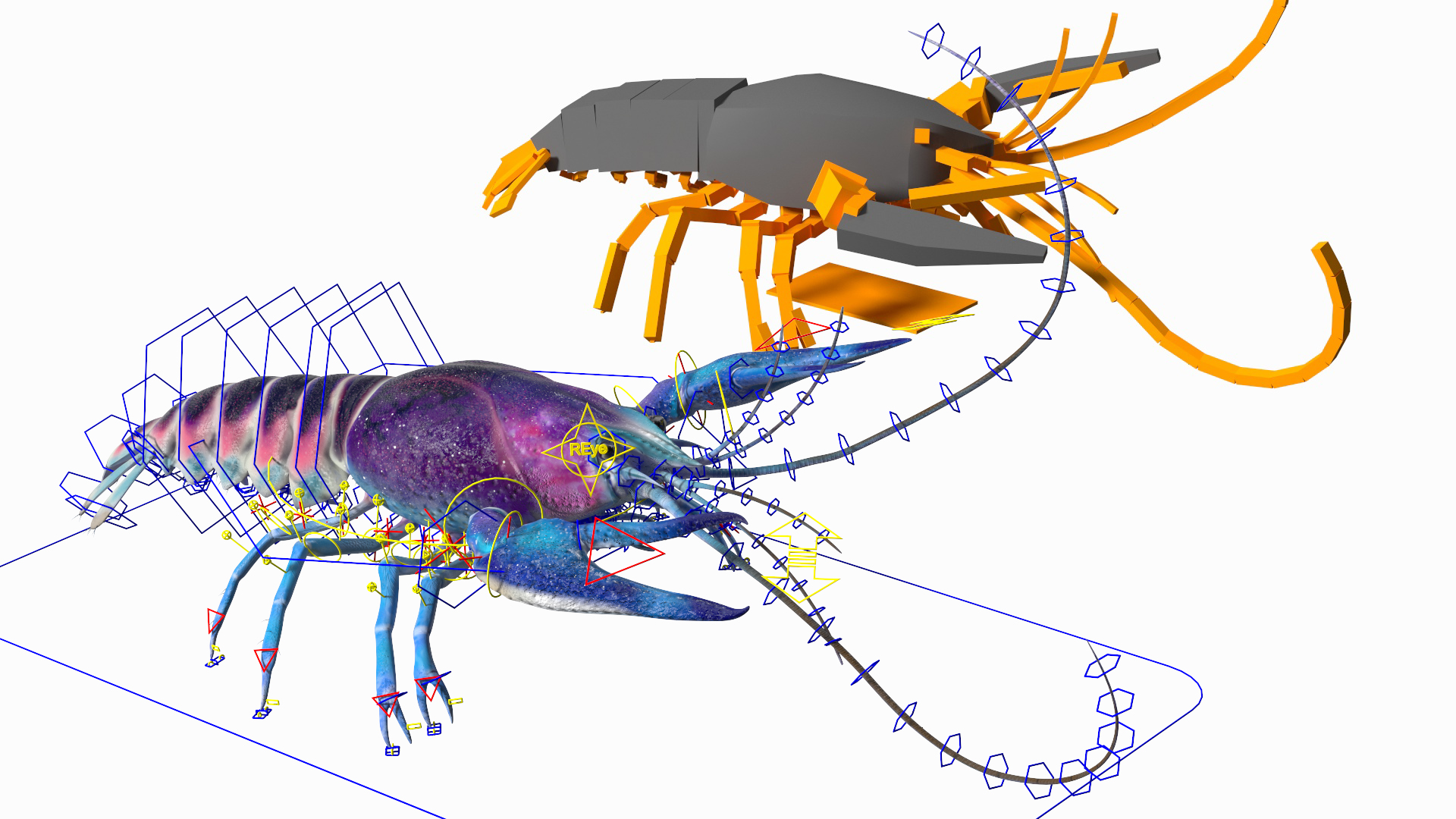 3D model Blue Crayfish Rigged