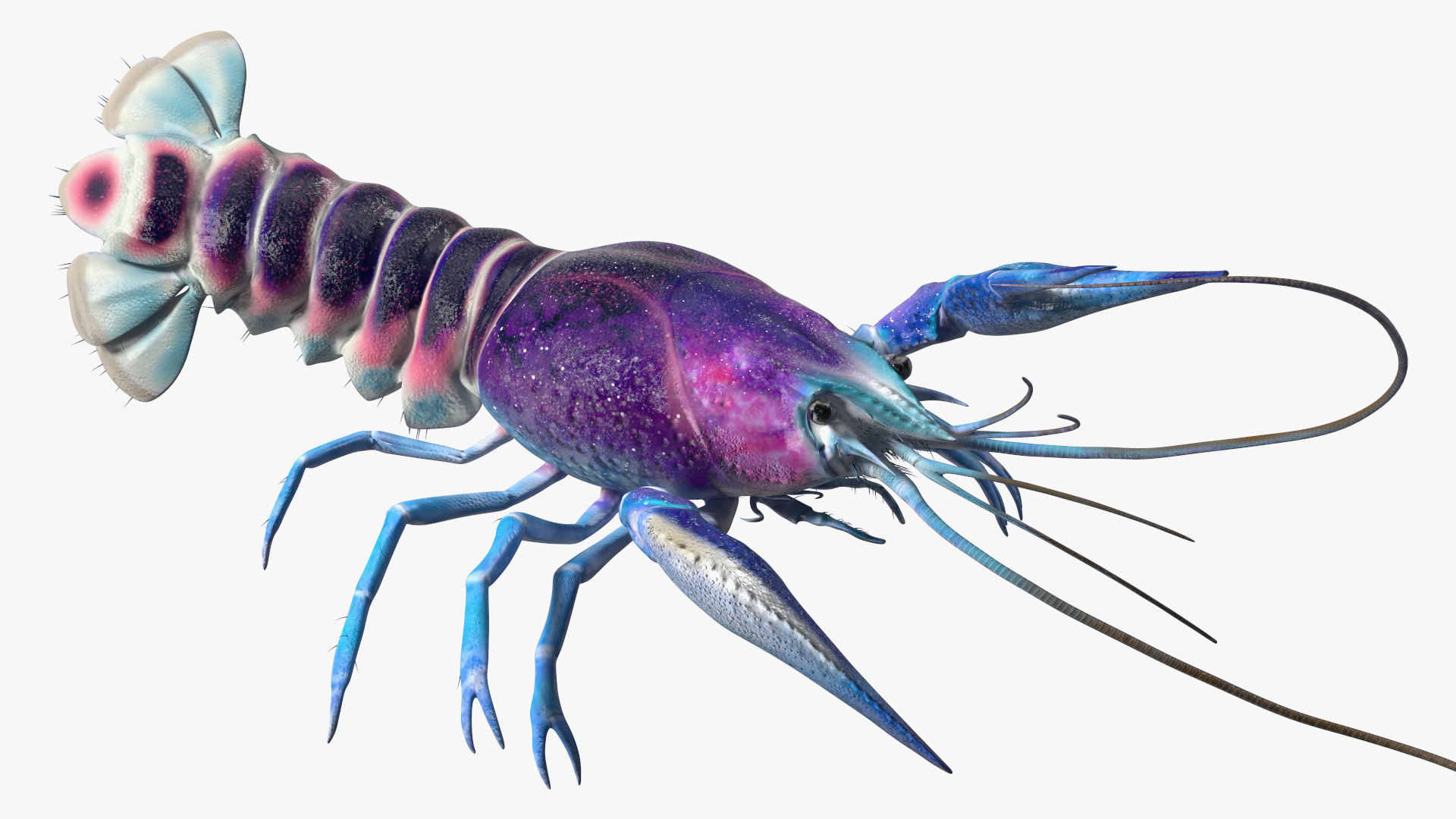 3D model Blue Crayfish Rigged