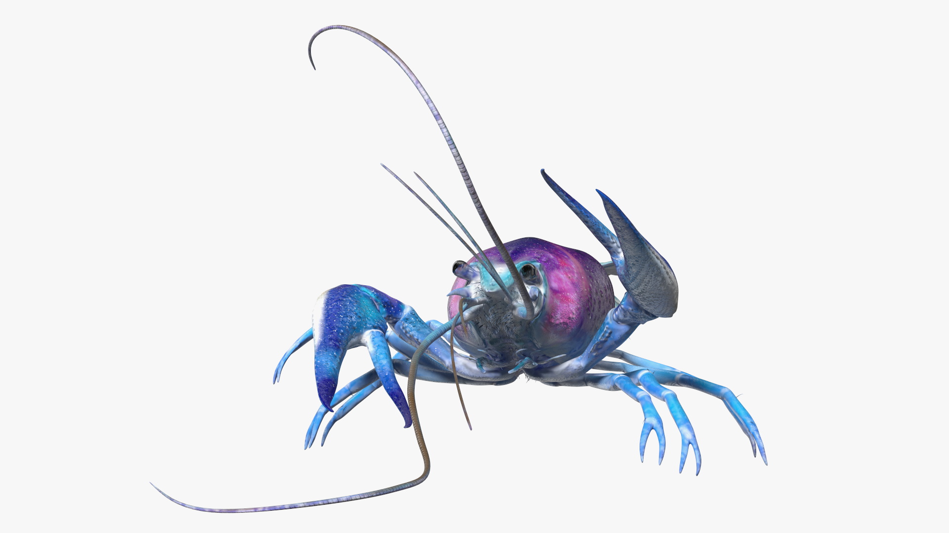 3D model Blue Crayfish Rigged
