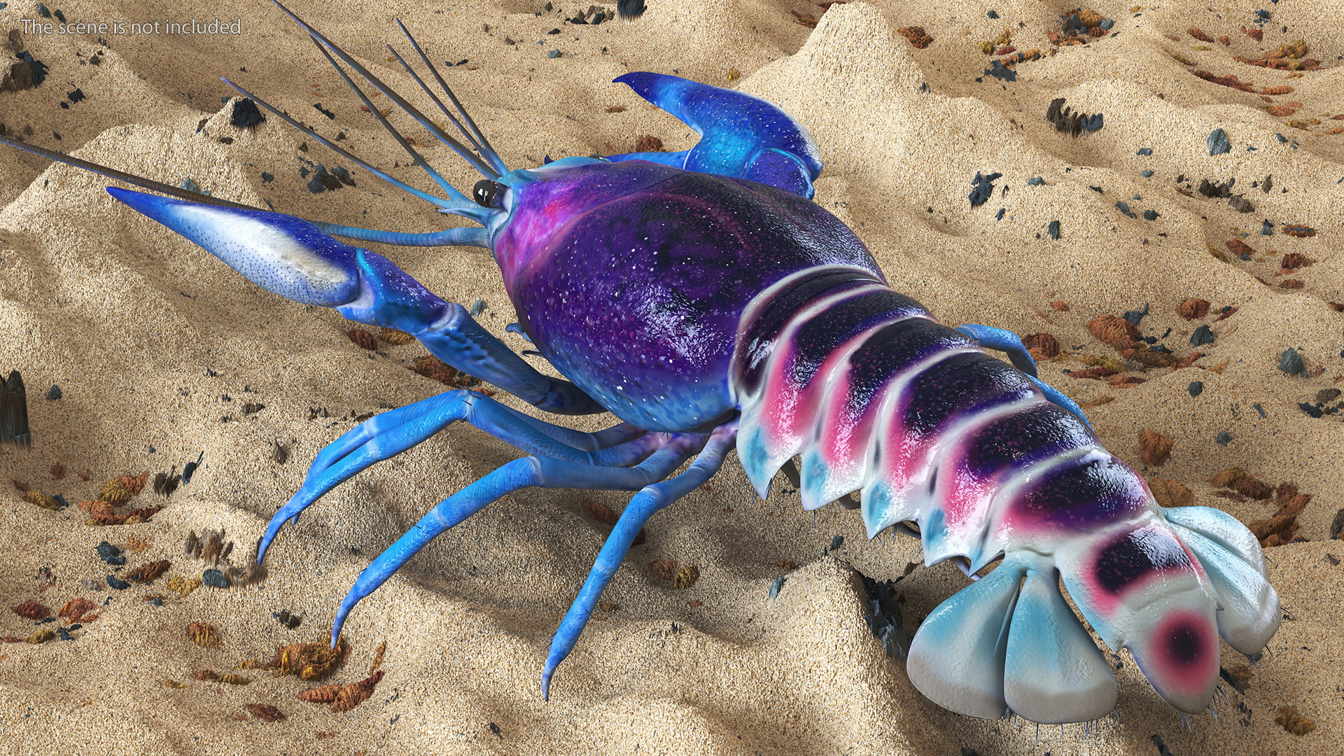 3D model Blue Crayfish Rigged