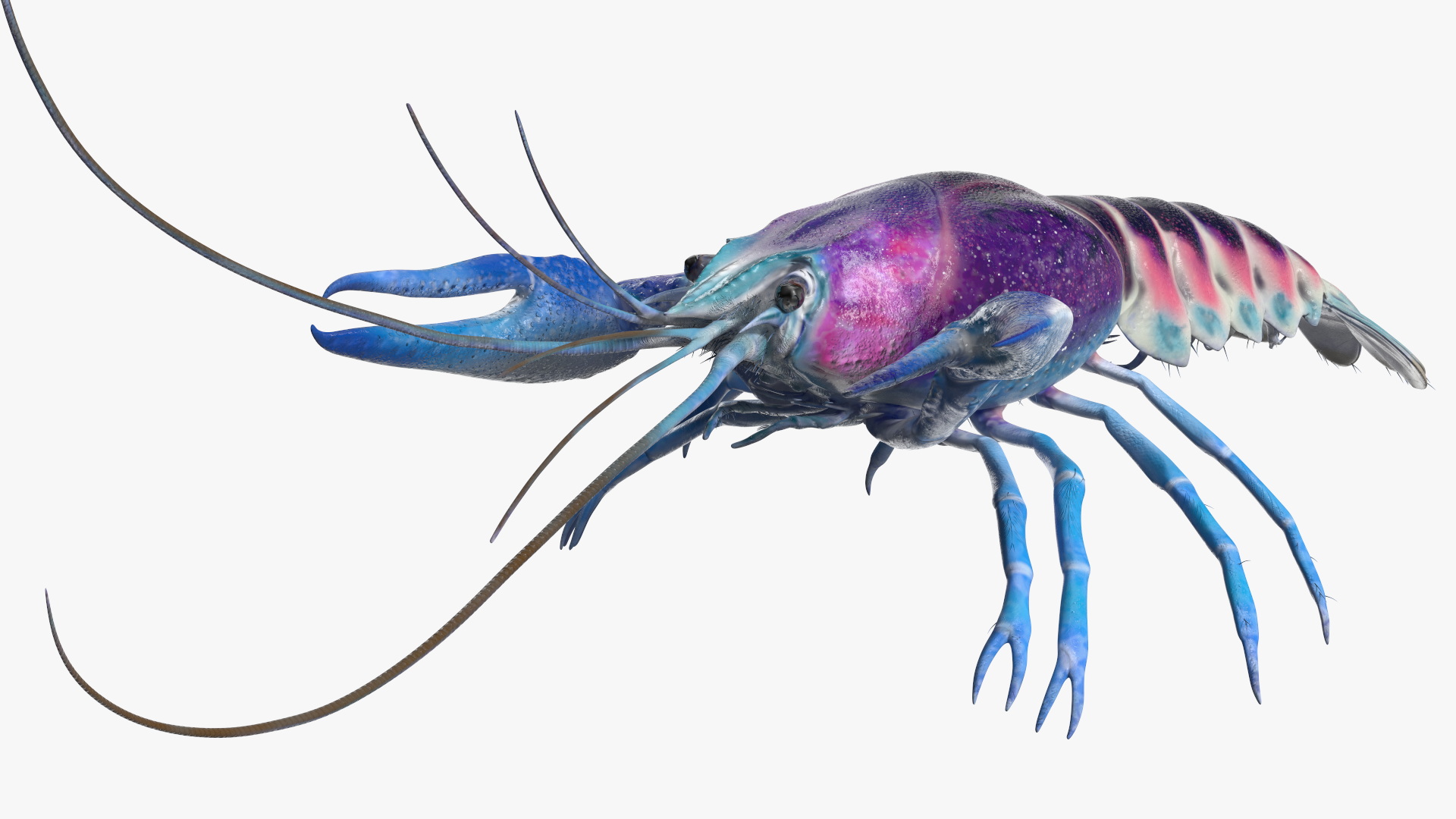 3D model Blue Crayfish Rigged