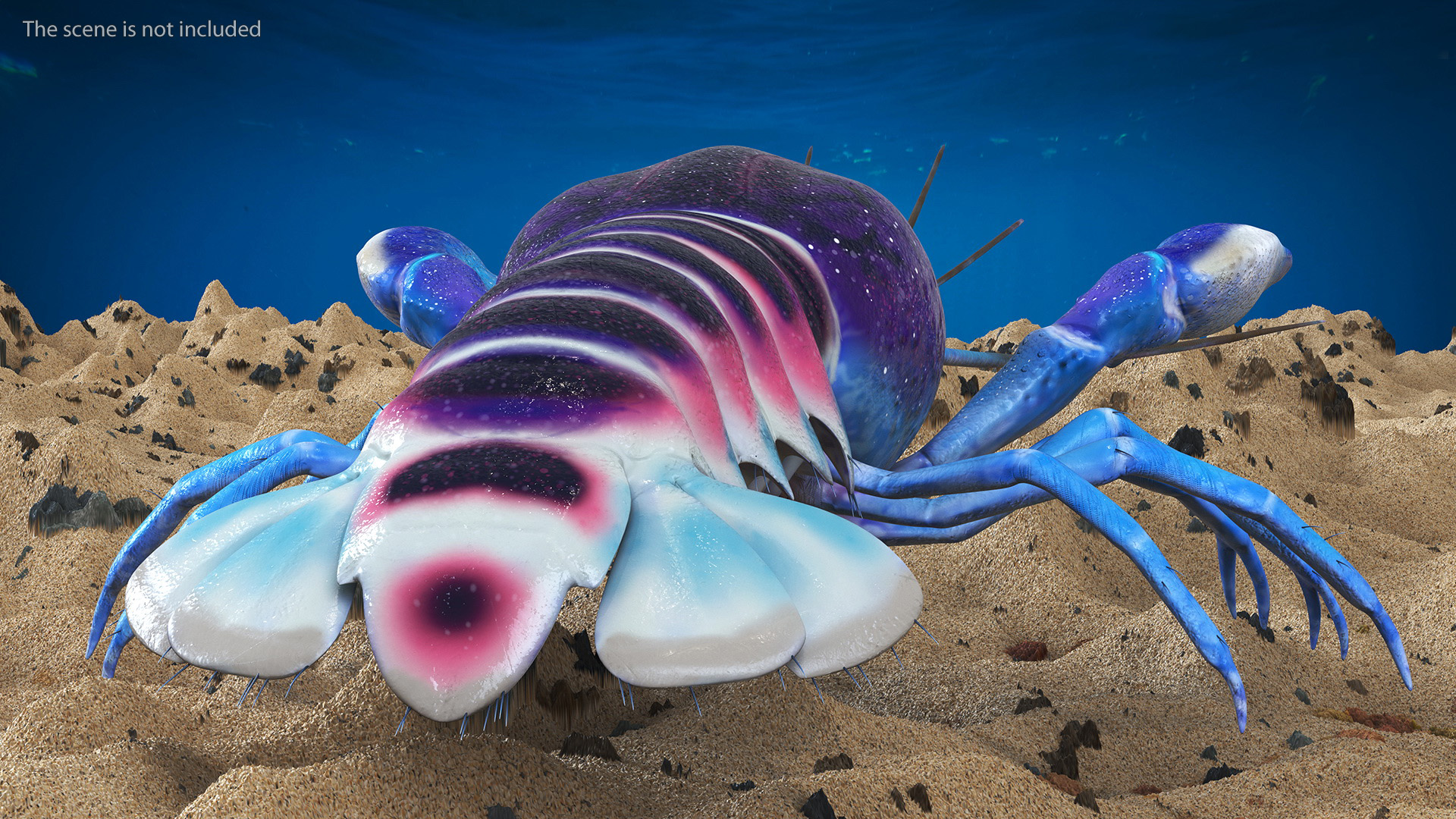 3D model Blue Crayfish Rigged