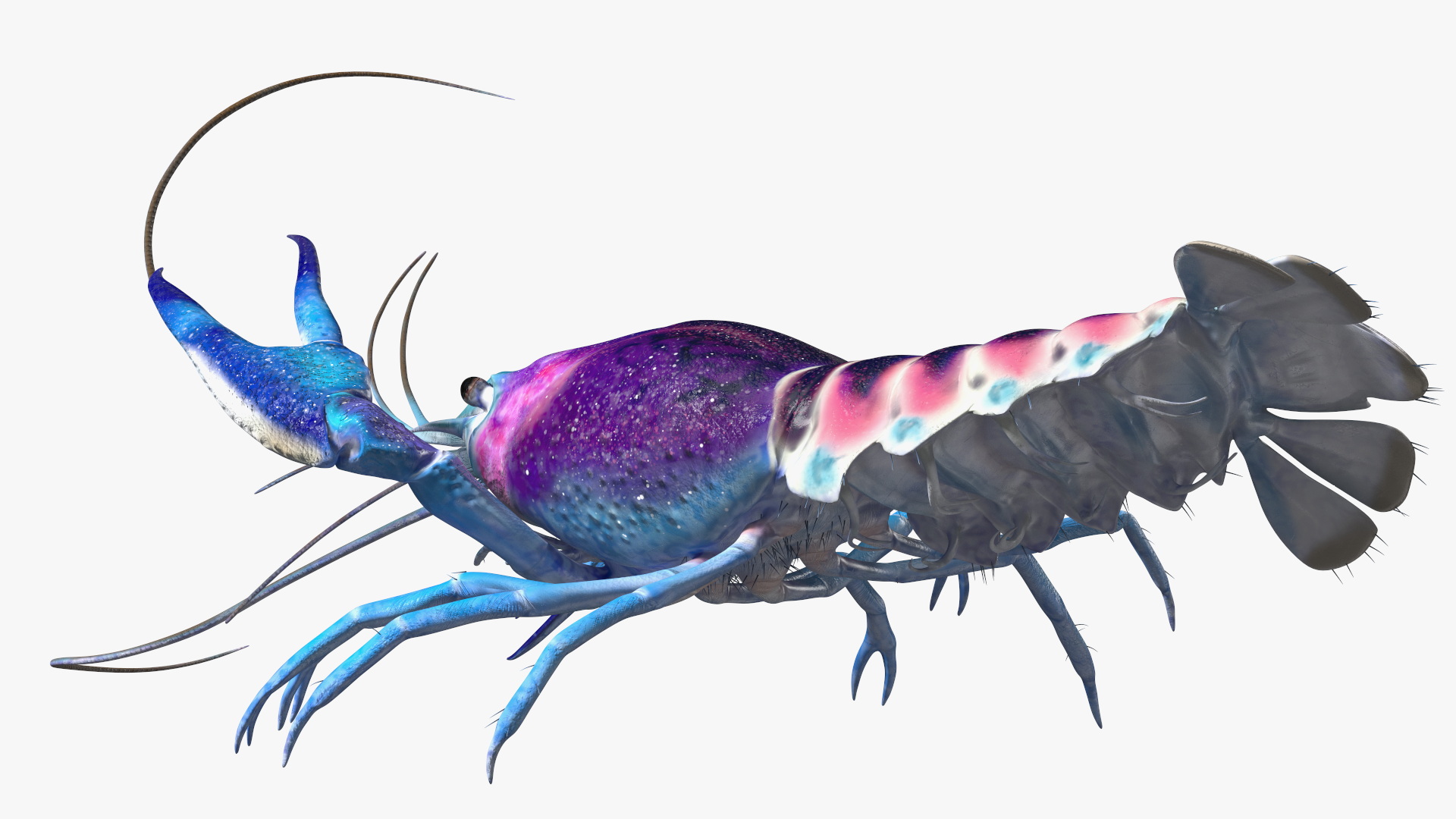 3D model Blue Crayfish Rigged